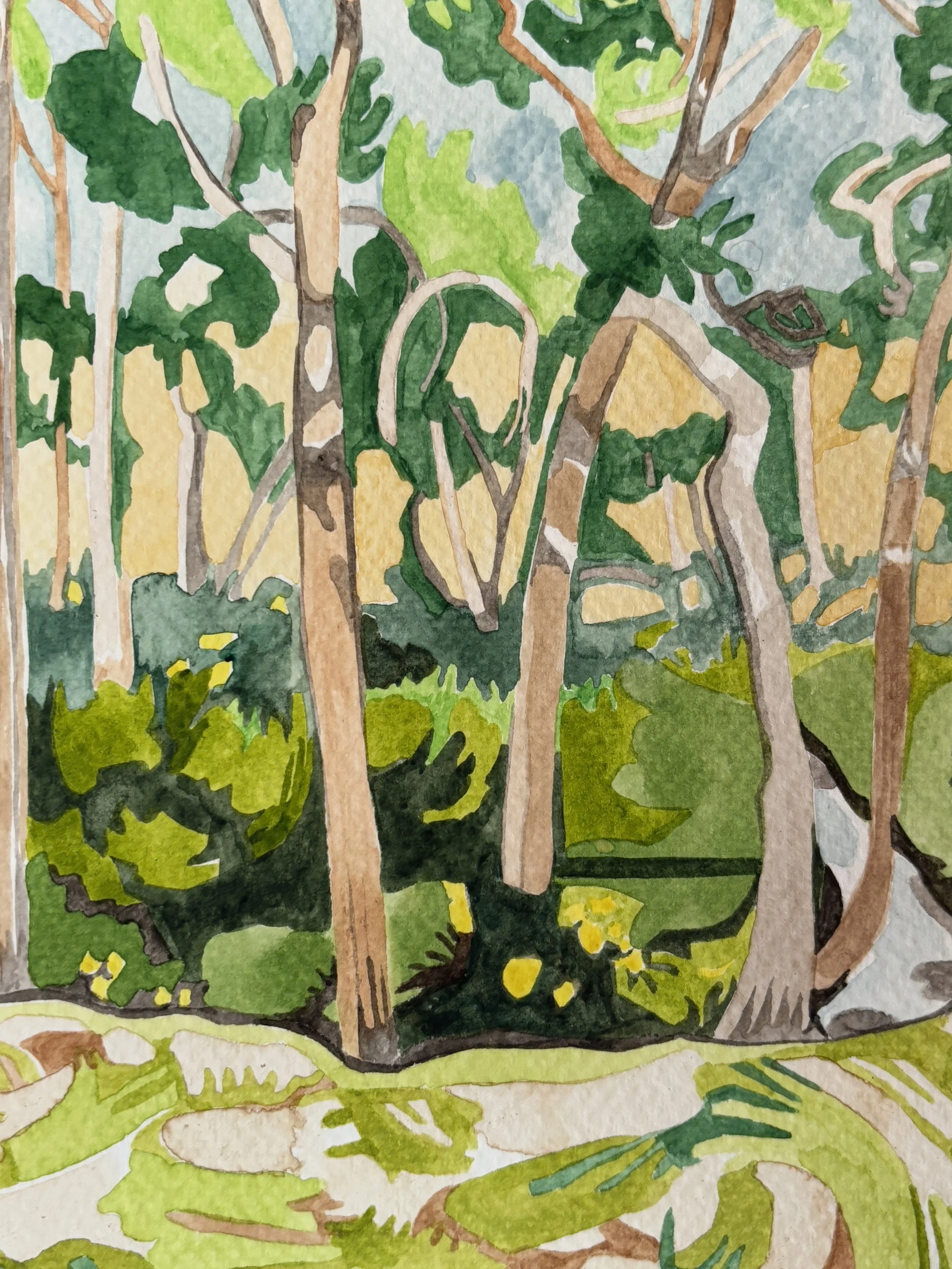 CreekandField.2025.Detail1.JPG