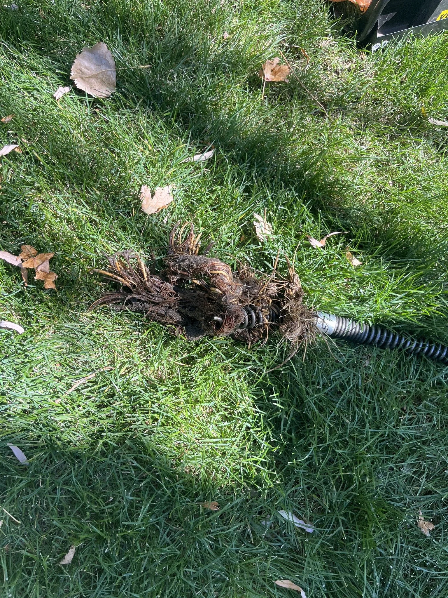 Main line root clean out 