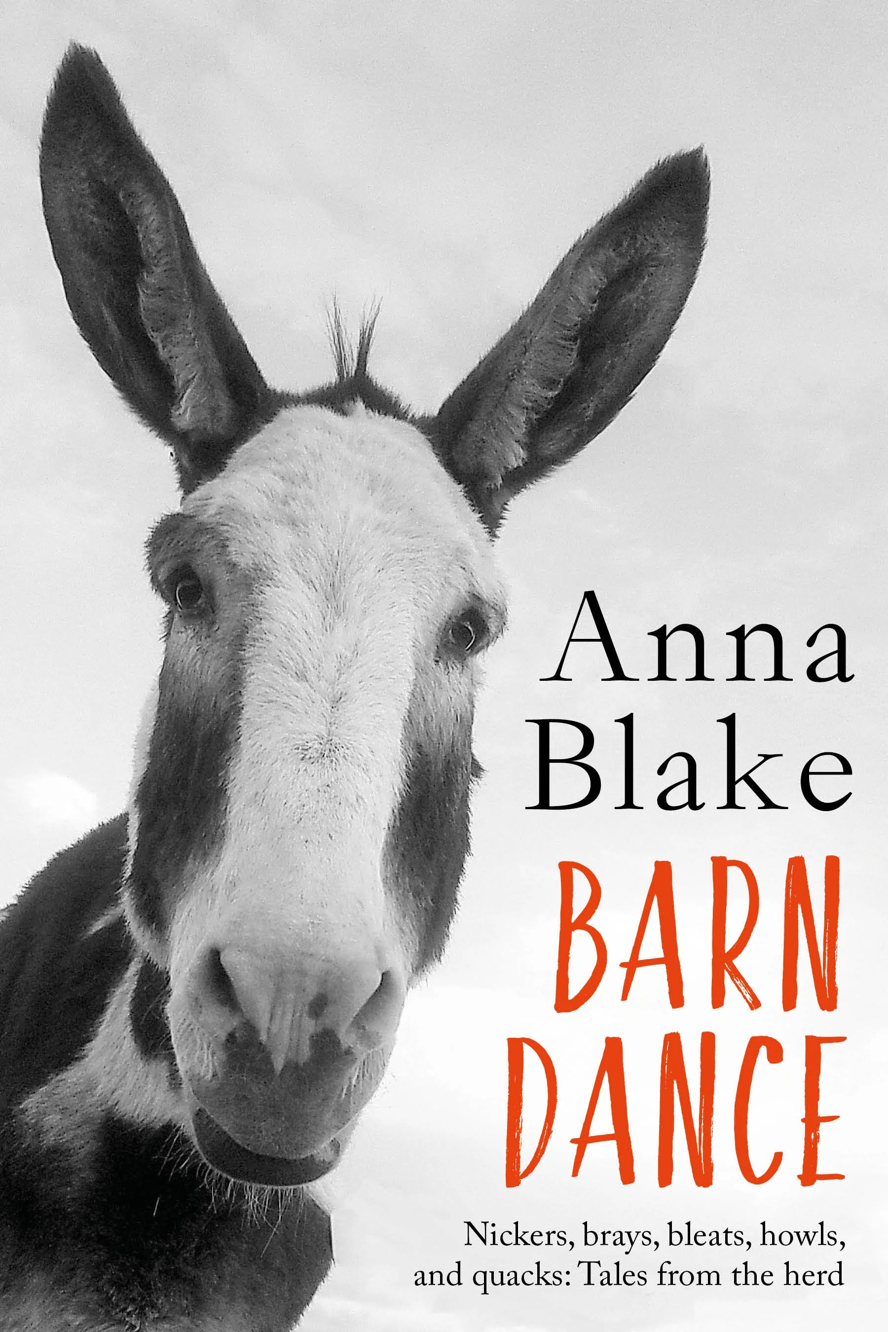 Barn Dance Cover EBOOK.jpg