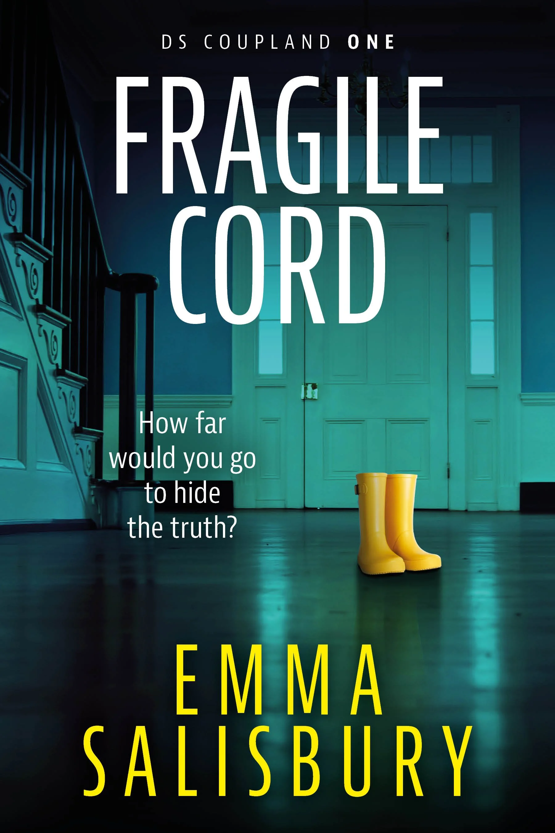 Fragile Cords Cover LARGE EBOOK.jpg