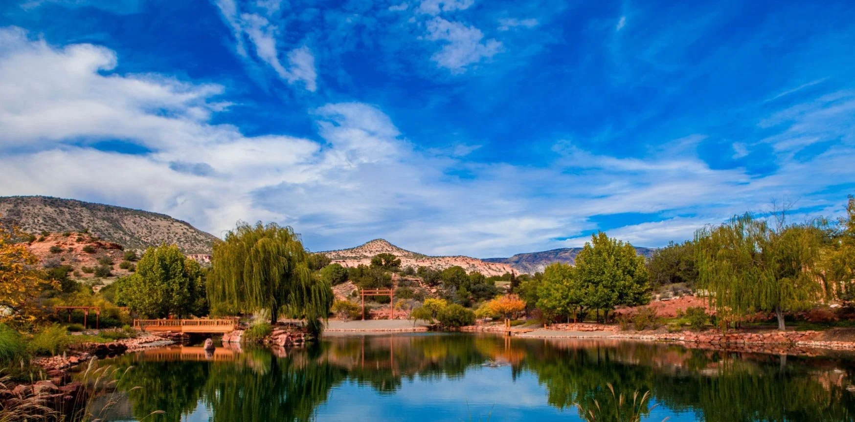 Spiritual Healing Near Me