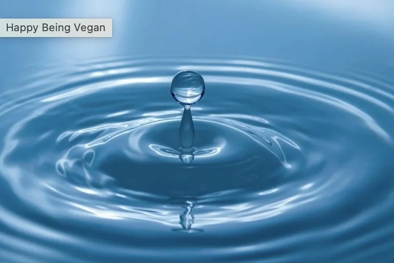 9 Hydration - One of the Pillars of Health