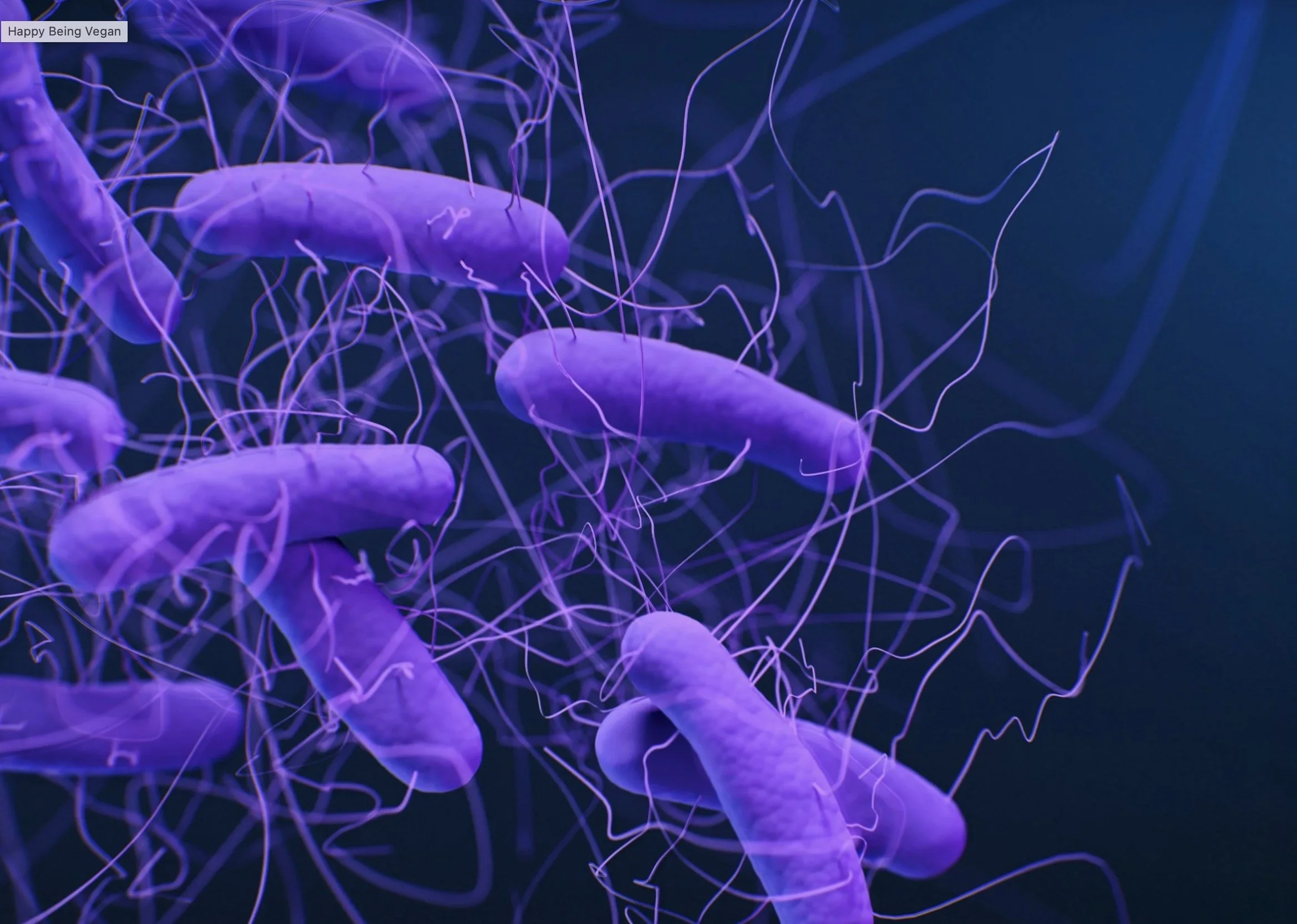 18. Bacteria, Probiotics, and How To Maintain a Healthy Microbiome
