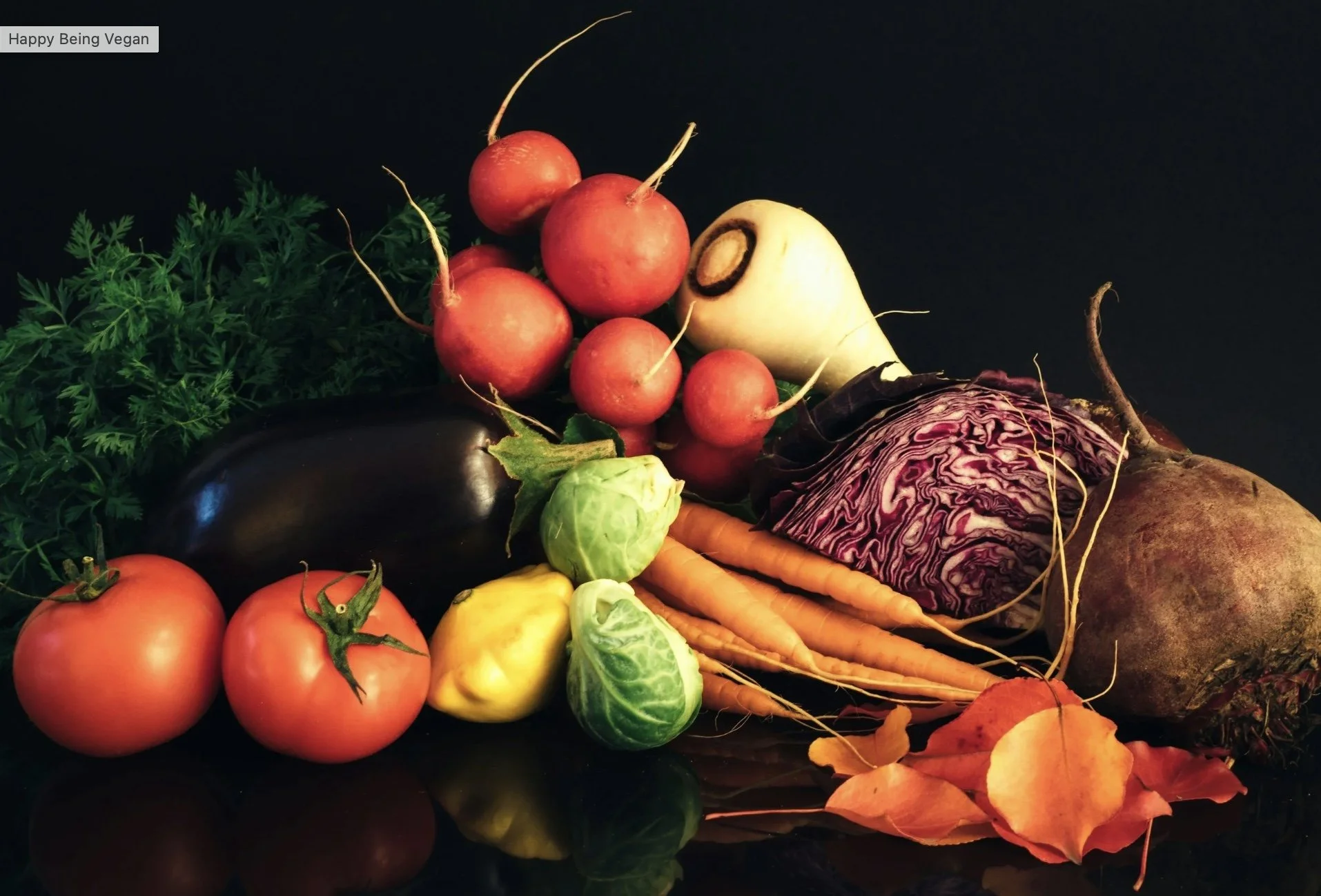 The Magic of Losing Weight the Healthy Way