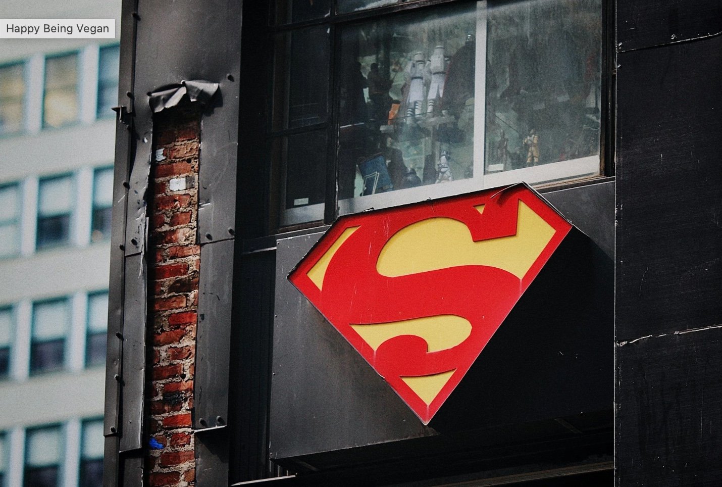 Vitamin B 12 – The Superhero We Cannot Live Without