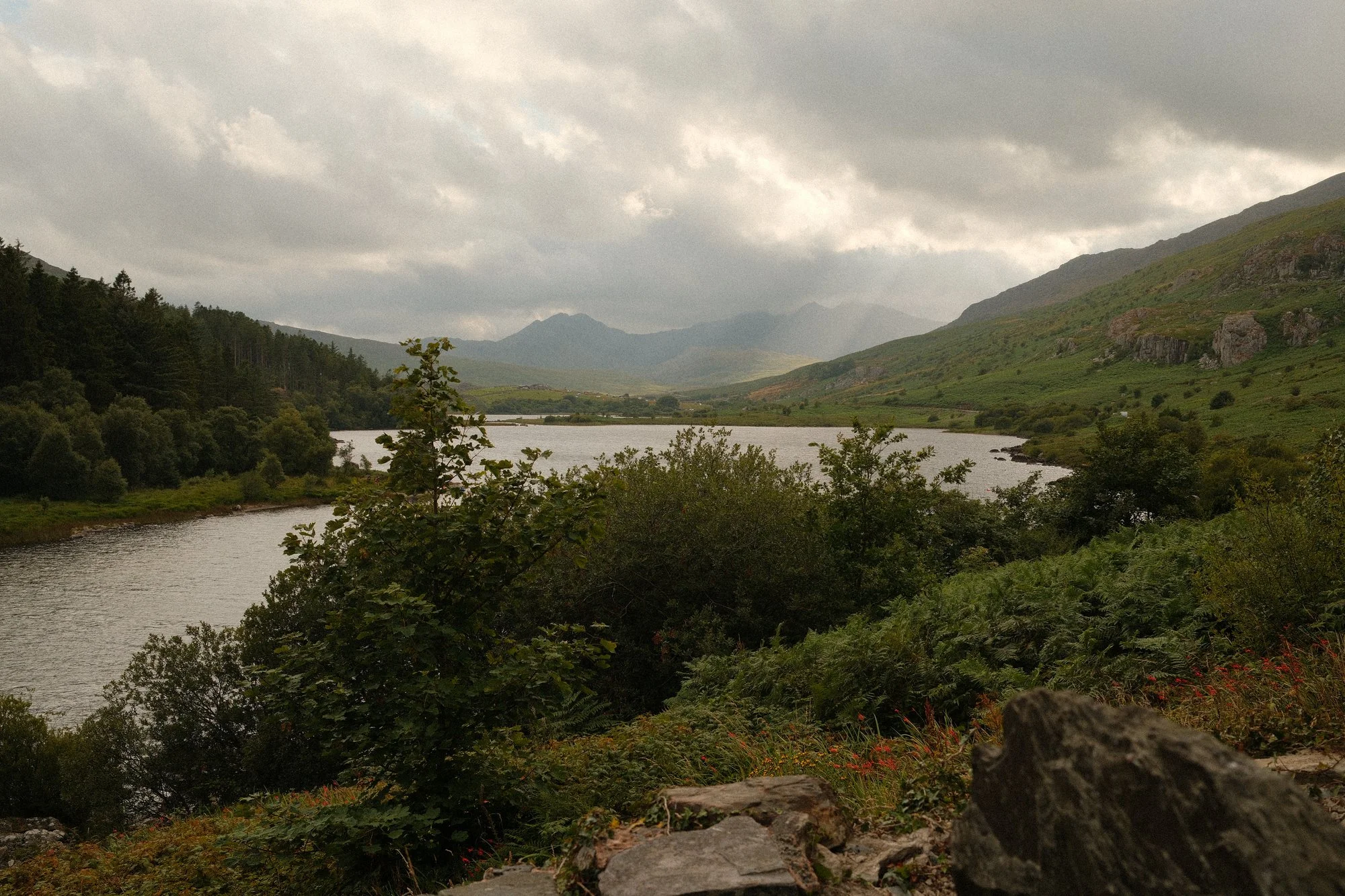 DSCF0830_Web.jpg