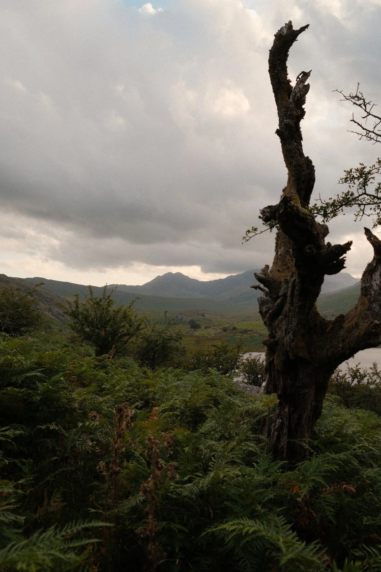 DSCF0833_Web.jpg