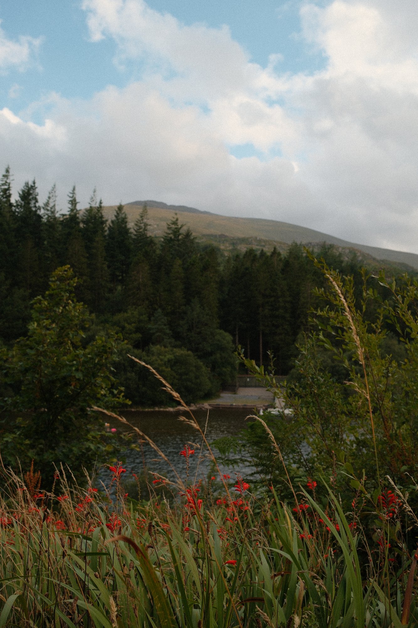 DSCF0832_Web.jpg