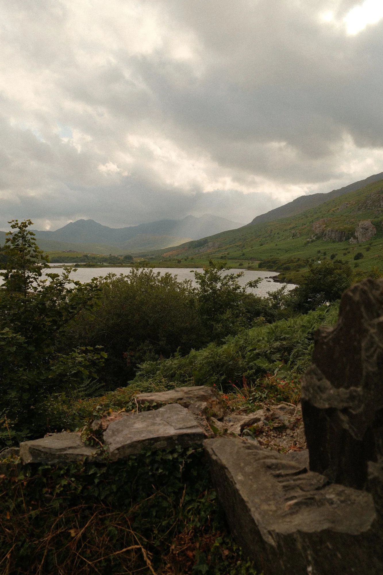 DSCF0831_Web.jpg