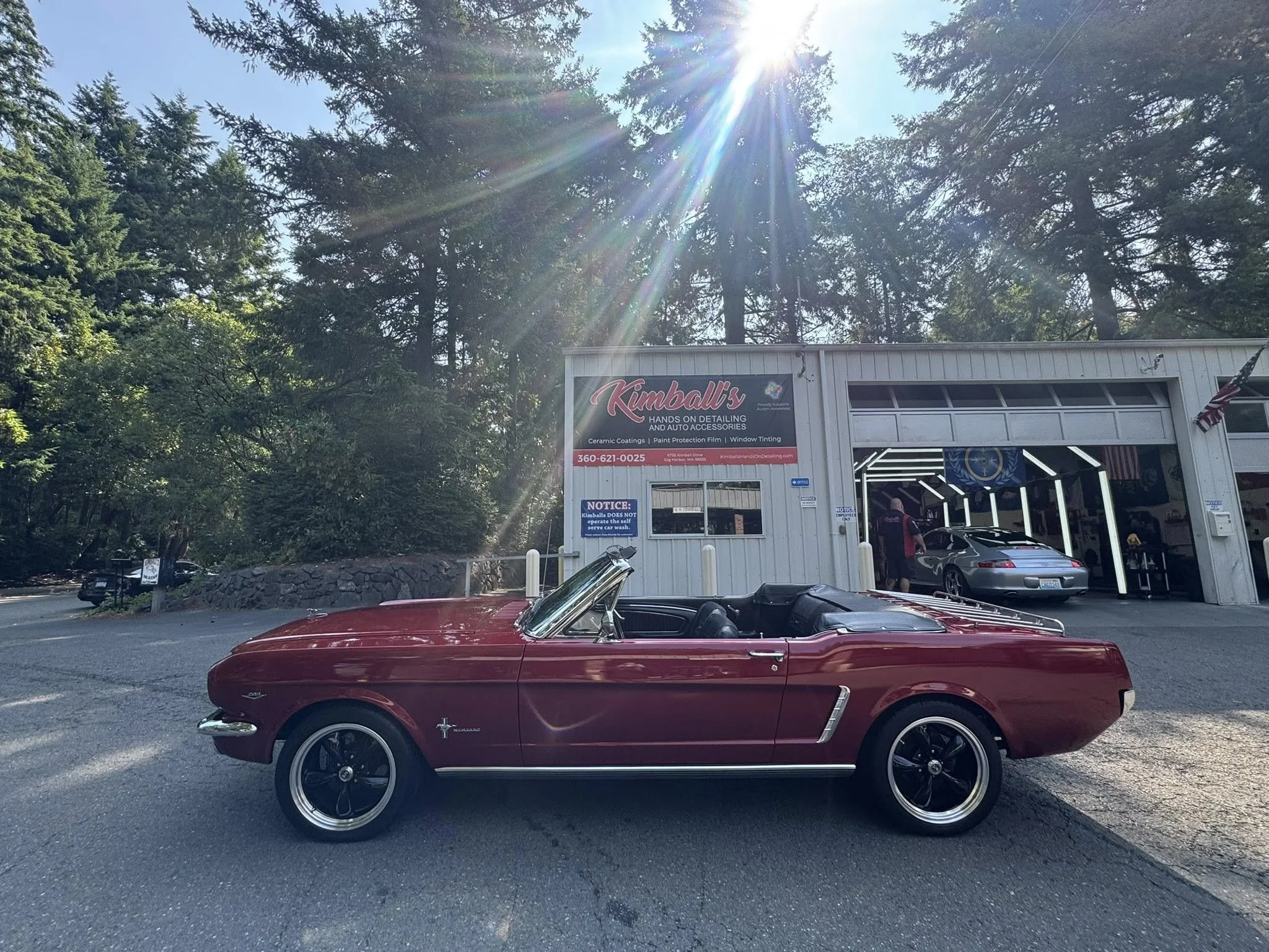 Mustang Classic.jpg