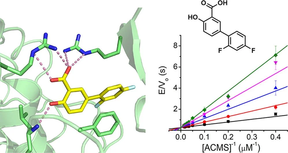 40. Diflunisal Derivatives as Modulators of ACMS Decarboxylase Targeting the Tryptophan-Kynurenine Pathway
