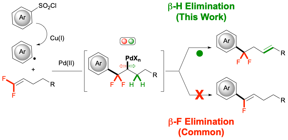 39. Arylation of gem-difluoroalkenes using a Pd/Cu Co-catalytic system that avoids β-fluoride elimination