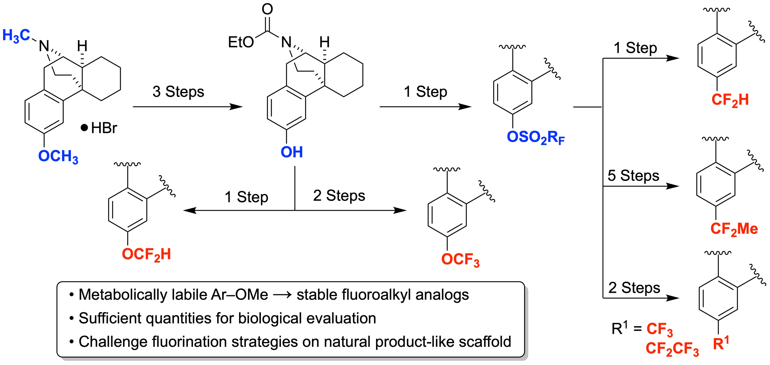 37. Late-Stage Conversion of a Metabolically Labile Aryl Methyl Ether-Containing Natural Product to Fluoroalkyl Analogues