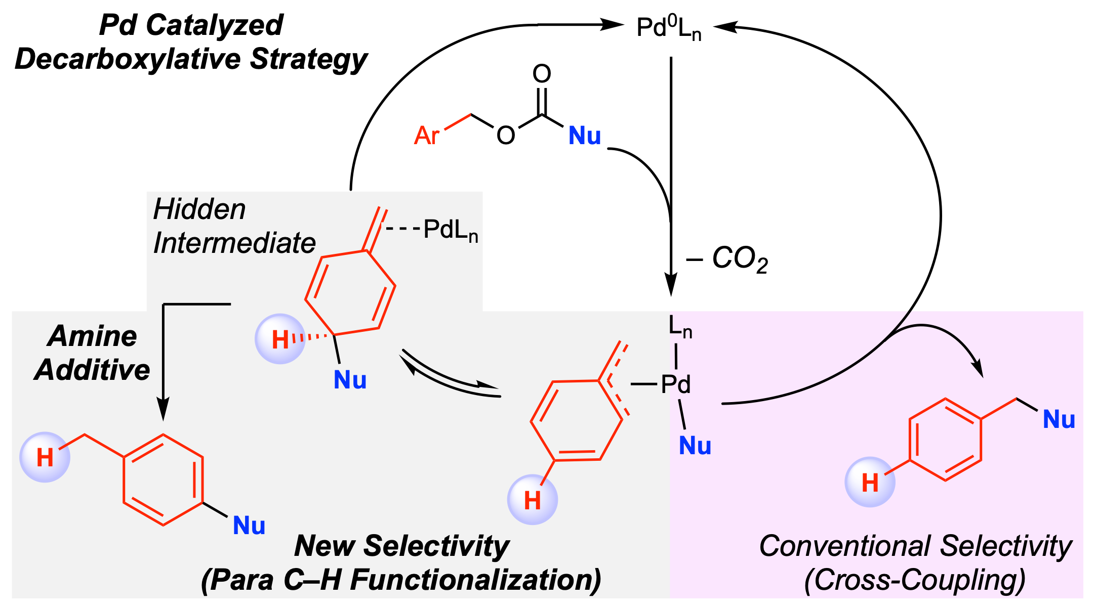 35. Connecting Remote C–H Bond Functionalization and Decarboxylative Coupling Using Simple Amines