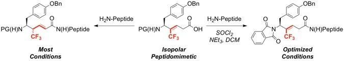 29. Synthesis of Leu-Enkephalin Peptidomimetics Containing Trifluromethylalkenes as Amide Isopolar Mimics