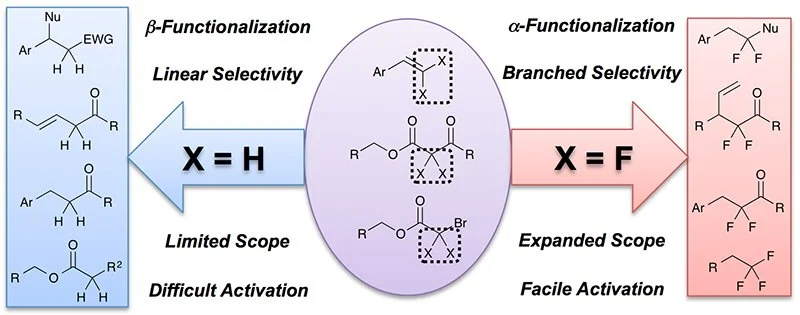 26. Exploiting the Unusual Effects of Fluorine in Methodology