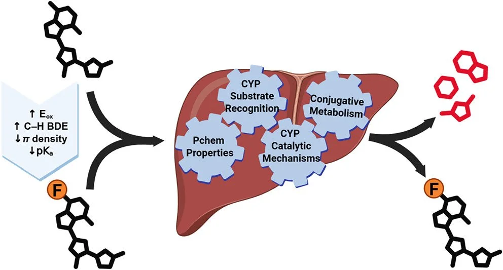 61. On the Metabolic Stability of Fluorinated Small Molecules: A Physical Organic Chemistry Perspective