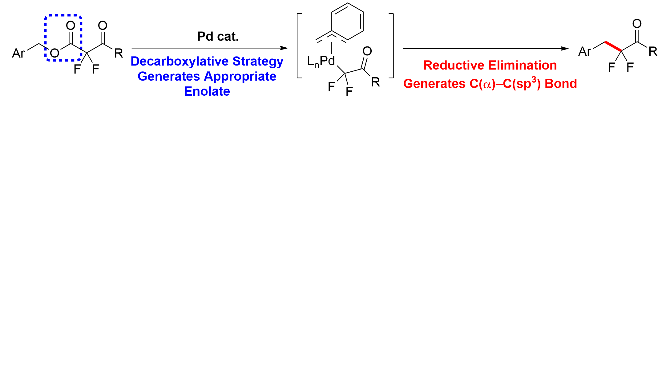 22. Palladium Catalysis Enables Benzylation of α,α-Difluoroketone Enolates