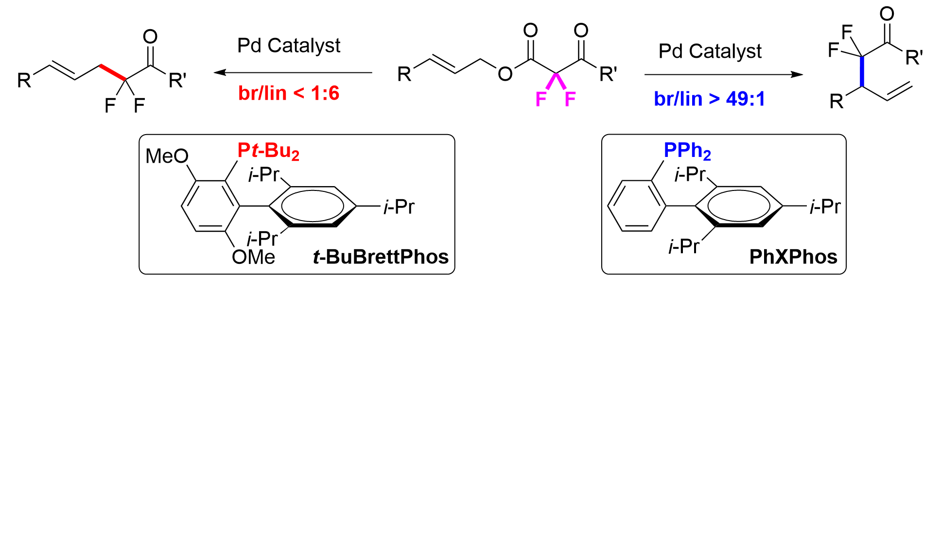 19. Ligand-Controlled Regiodivergent Palladium-catalyzed Decarboxylative Allylation Reaction to Access α,α-Difluoroketones