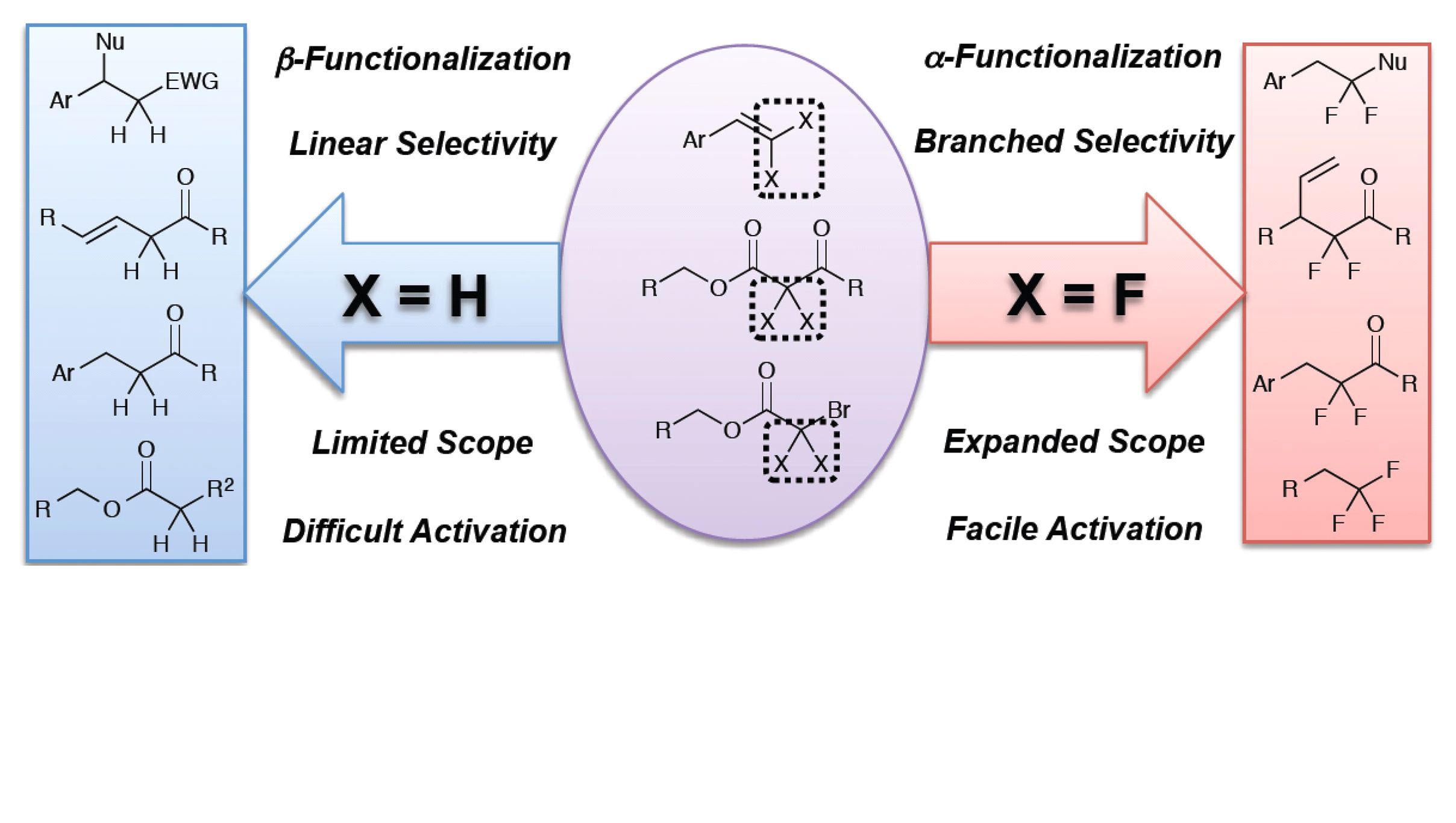 26. Exploiting the Unusual Effects of Fluorine in Methodology