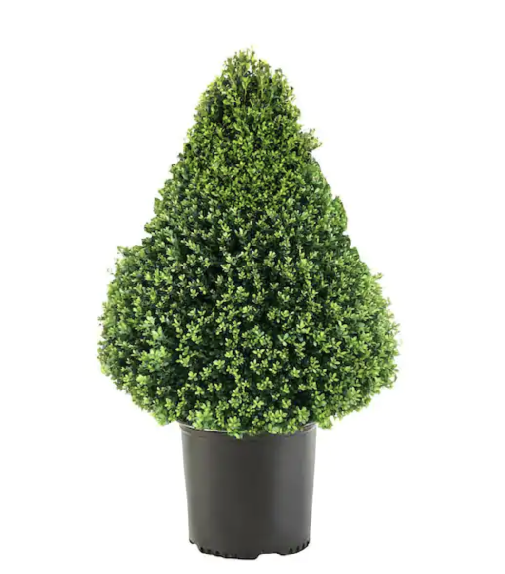 Cozy Cold-Weather Container Collection — Carmen Johnston Gardens
