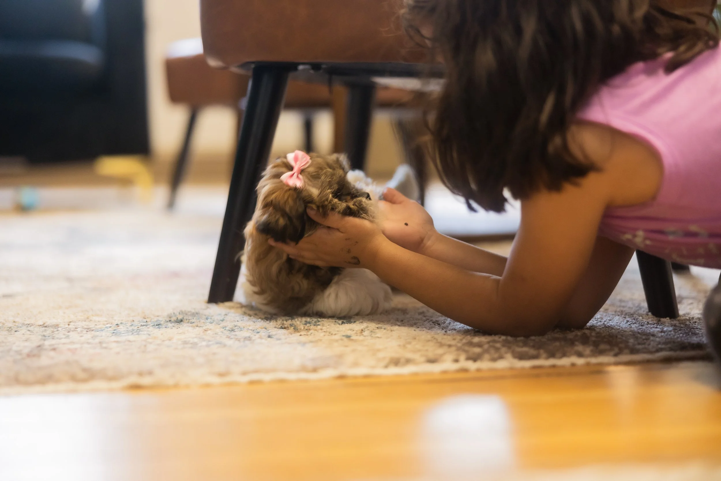 Therapy dog with therapist in Sioux Falls