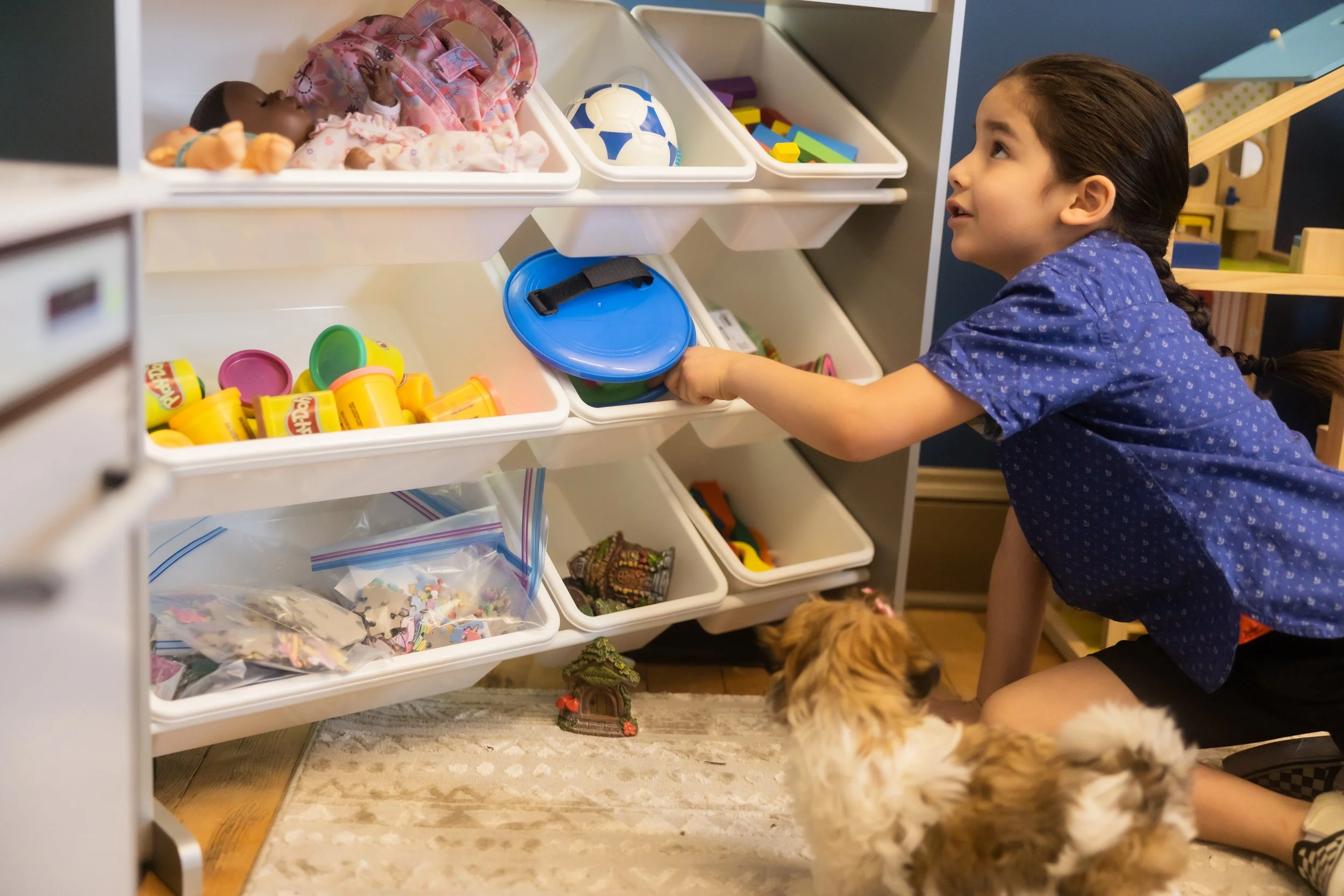 Boy playing with therapy dog
