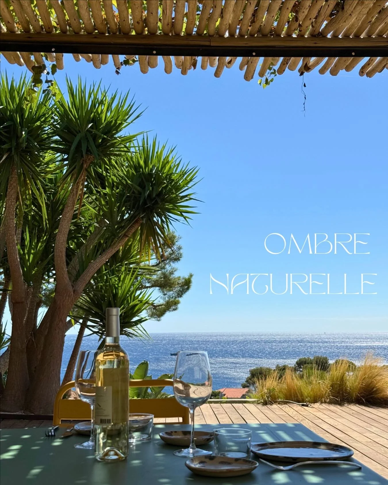Profitez d’un extérieur lumineux tout en restant protégé.
La tonnelle Mojo offre un équilibre parfait entre confort et esthétisme.
Mojo Tonnelle
📞 06 22 33 89 27
#mojotonnelle #tonnelle #renovation
#boisnat