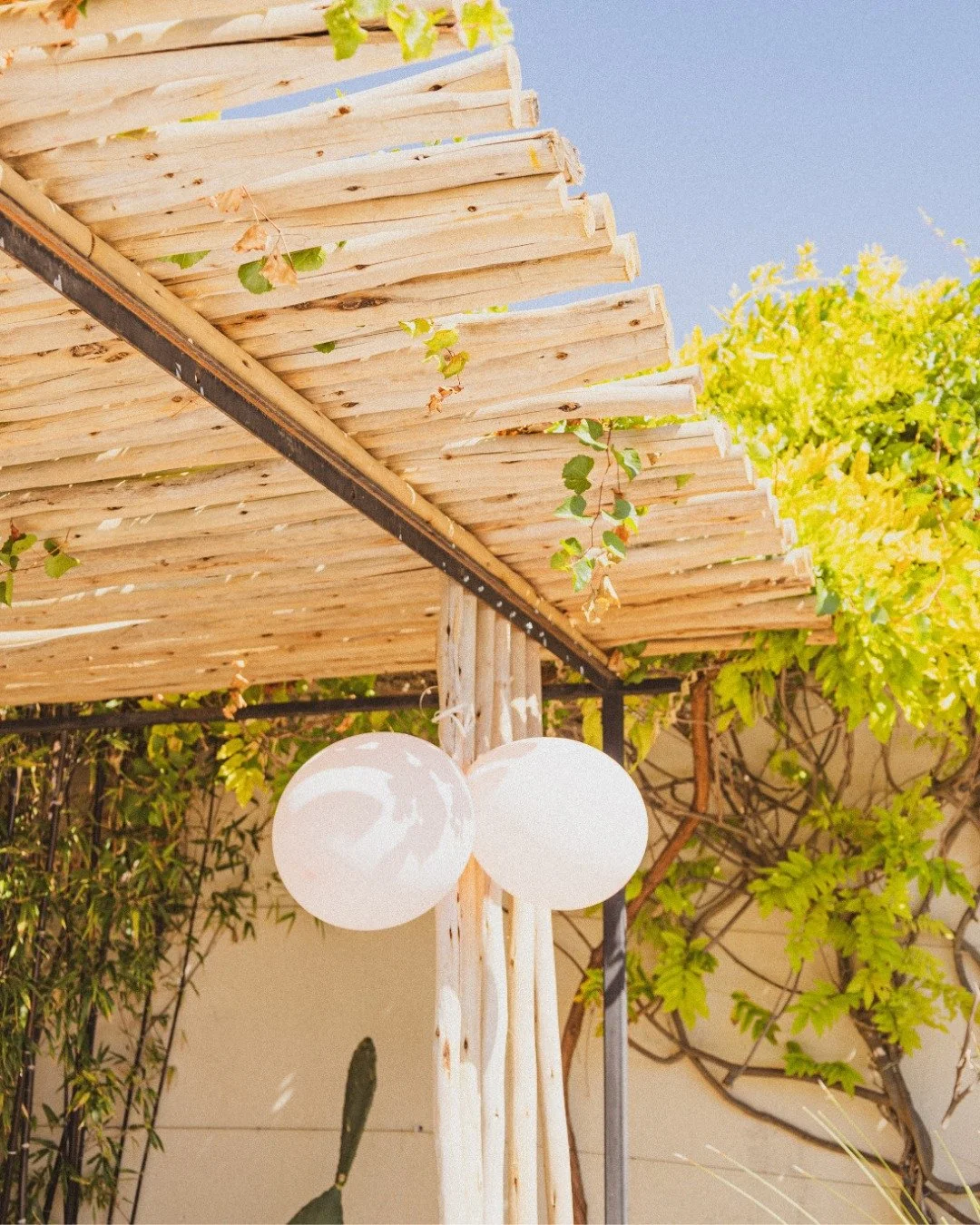 Sous la tonnelle, l&rsquo;ambiance se cr&eacute;e naturellement.

Un cadre simple, v&eacute;g&eacute;tal et &eacute;l&eacute;gant, parfait pour accueillir vos moments de partage.

Mojo Tonnelle
📞 06 22 33 89 27

#MojoTonnelle #D&eacute;corationOutdo