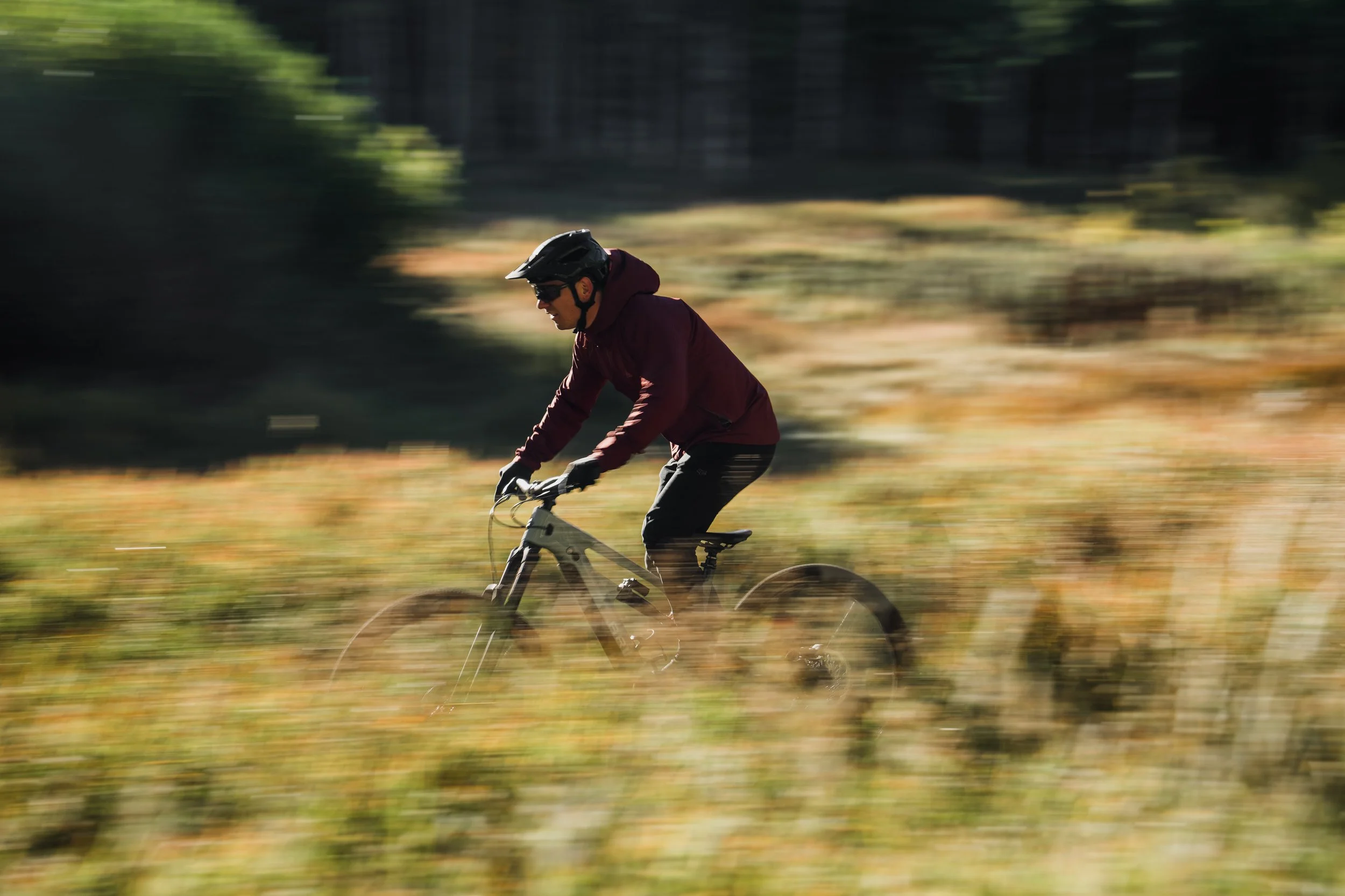 Fall-HD-exports-8.jpg