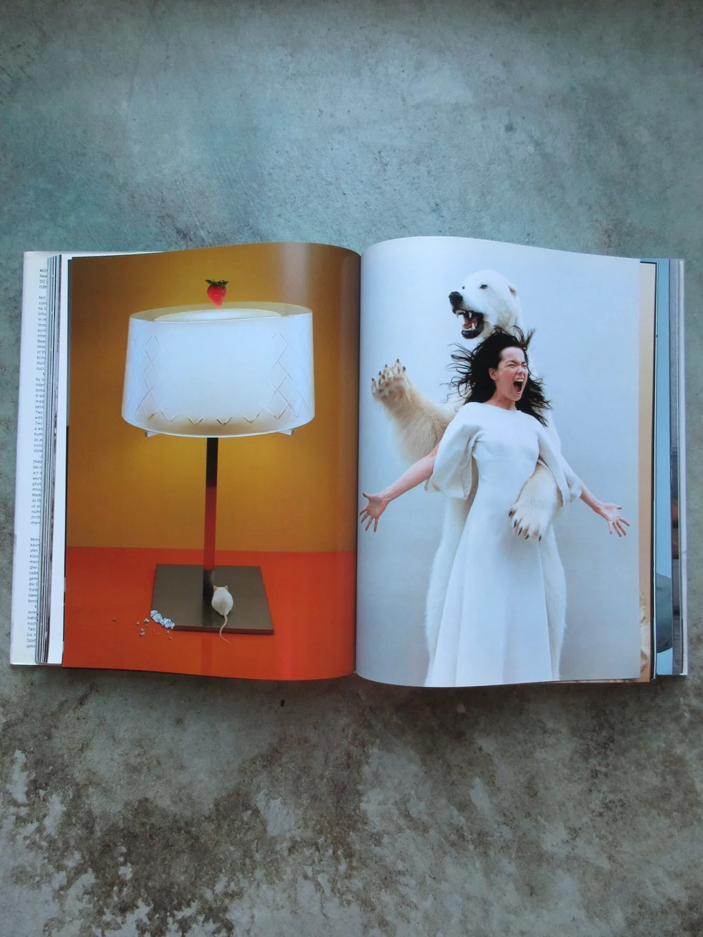 Jean-Baptiste Mondino — Too Much — Ocha Books