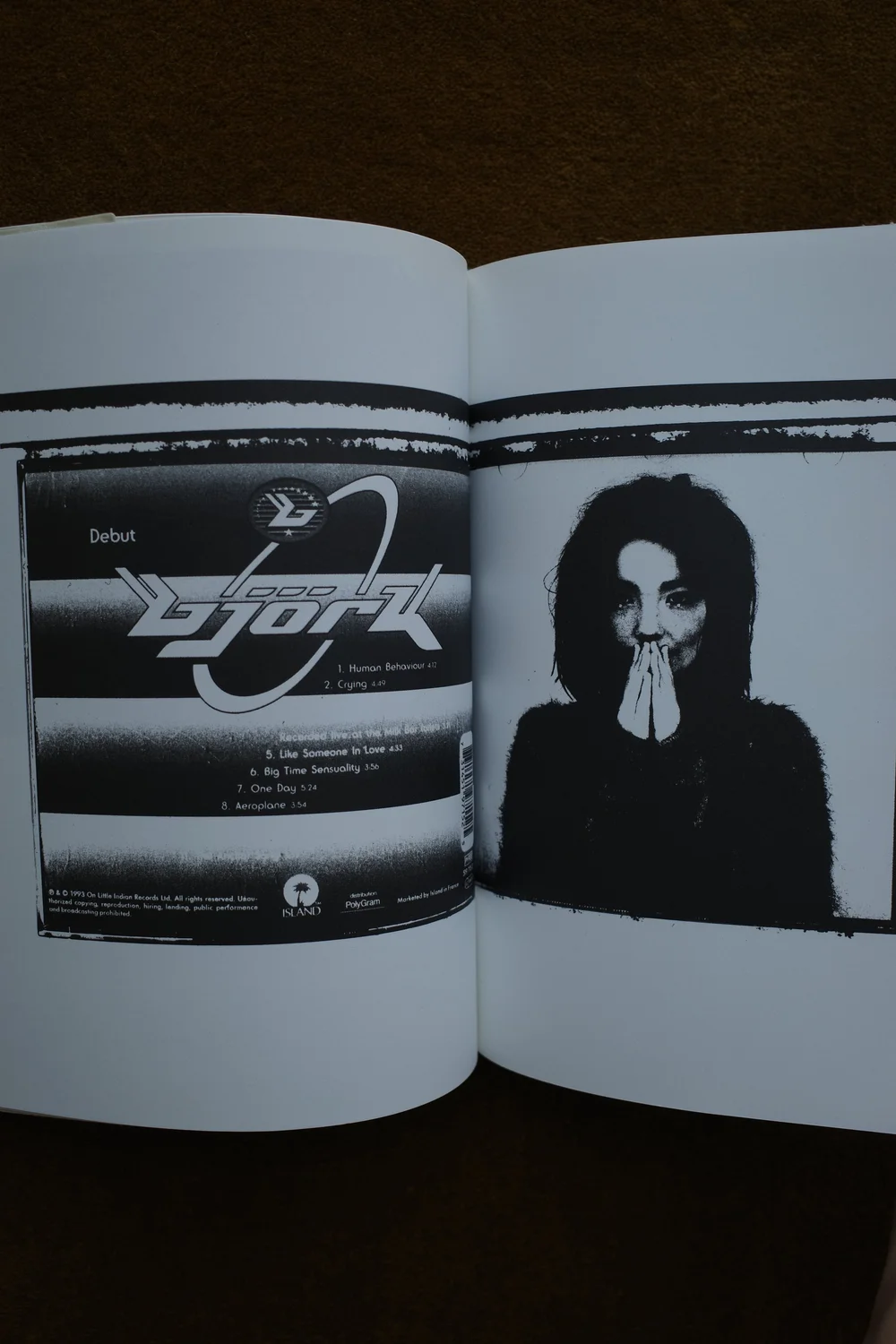 Björk - Björk as a book — Ocha Books