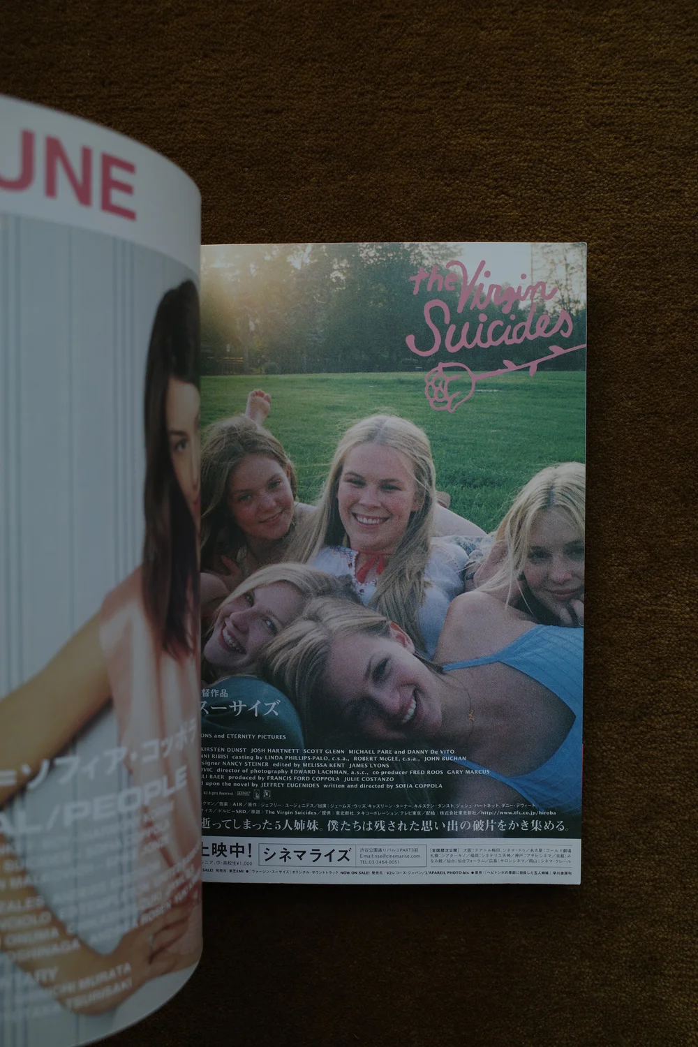 The Virgin Suicides - Visual Book — Ocha Books