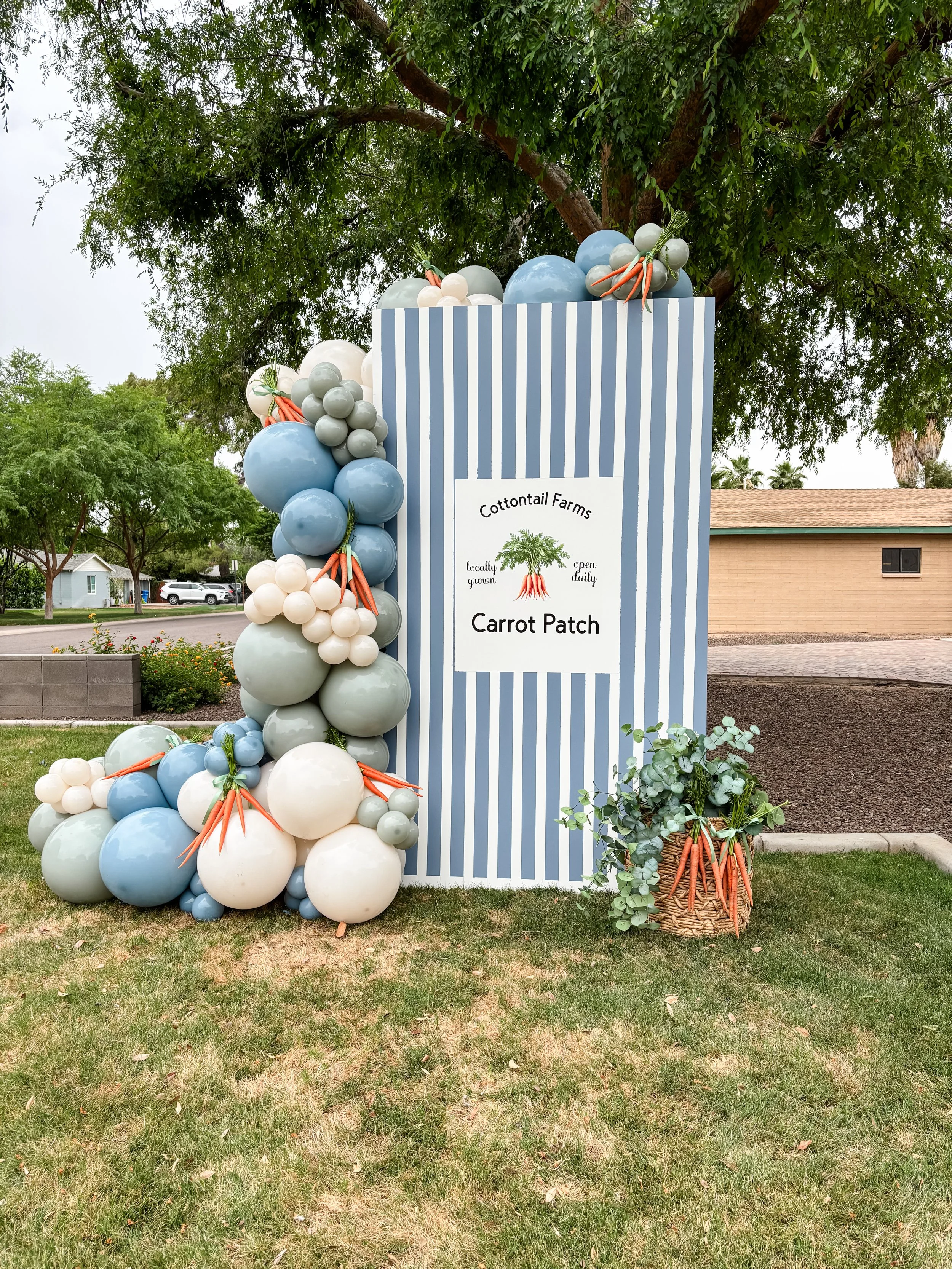 Party Like a Pro Package