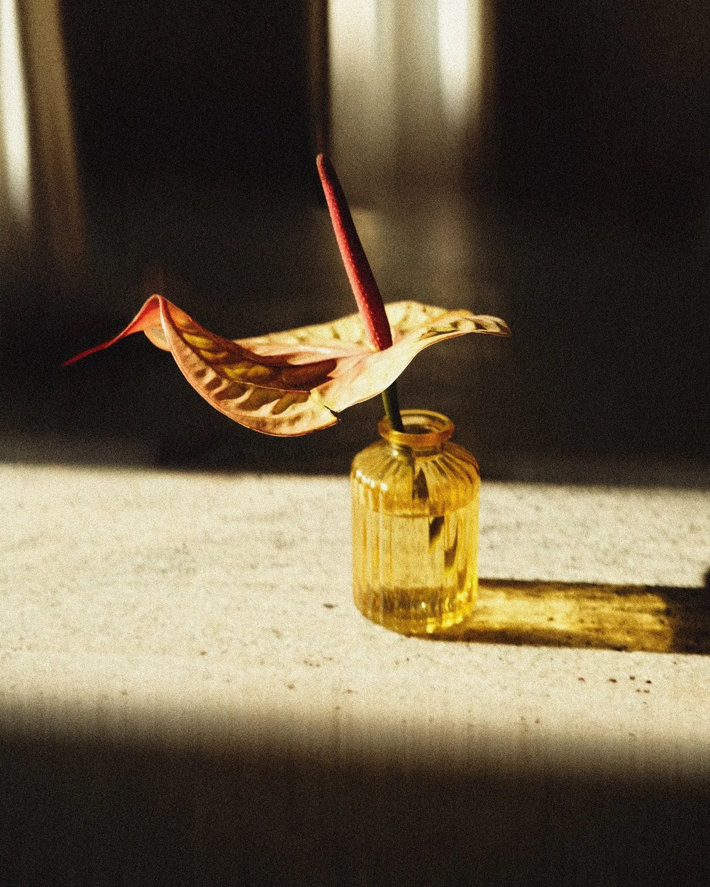 l&agrave; o&ugrave; la lumi&egrave;re s&rsquo;attarde
#lightsandshadows #photographyeveryday #architecturephoto #chasinglights