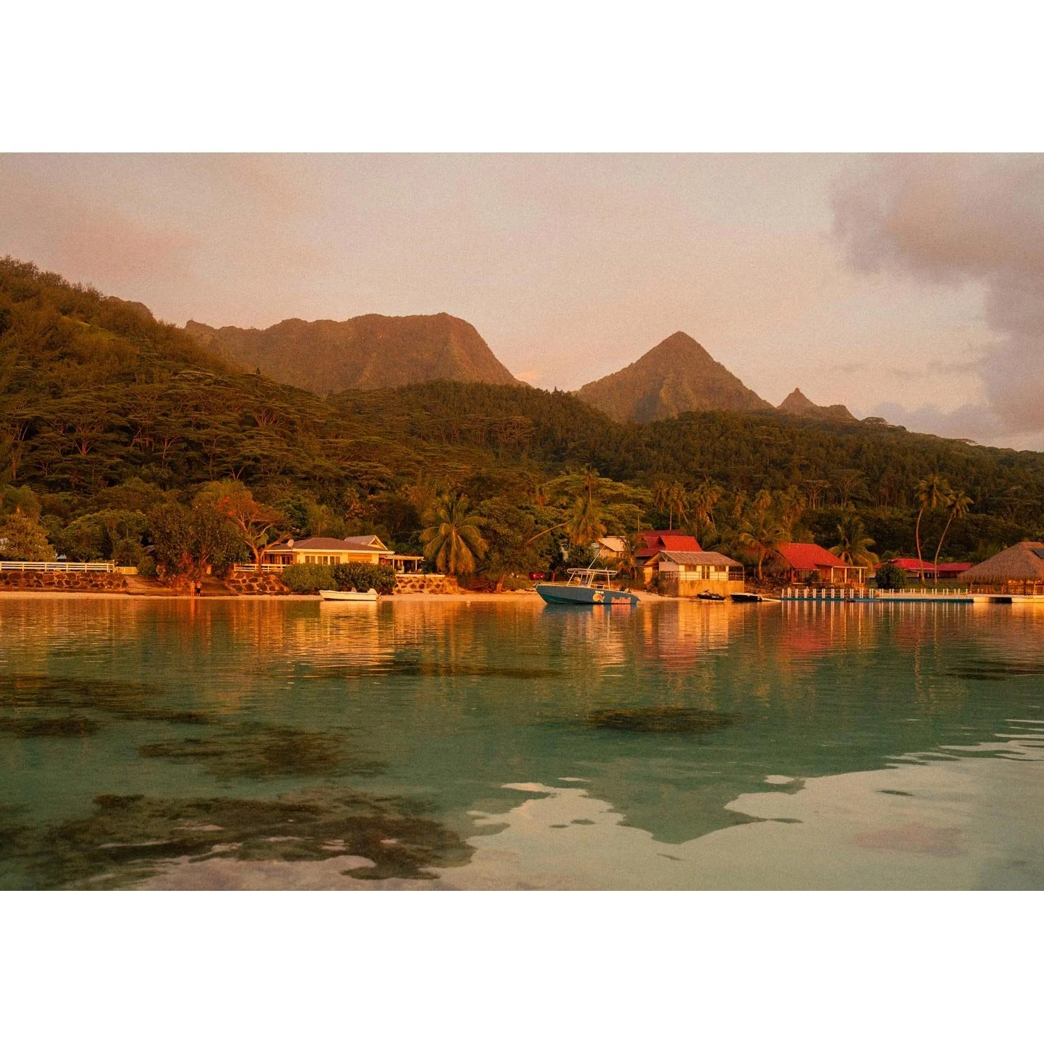 Mémoire d'une île