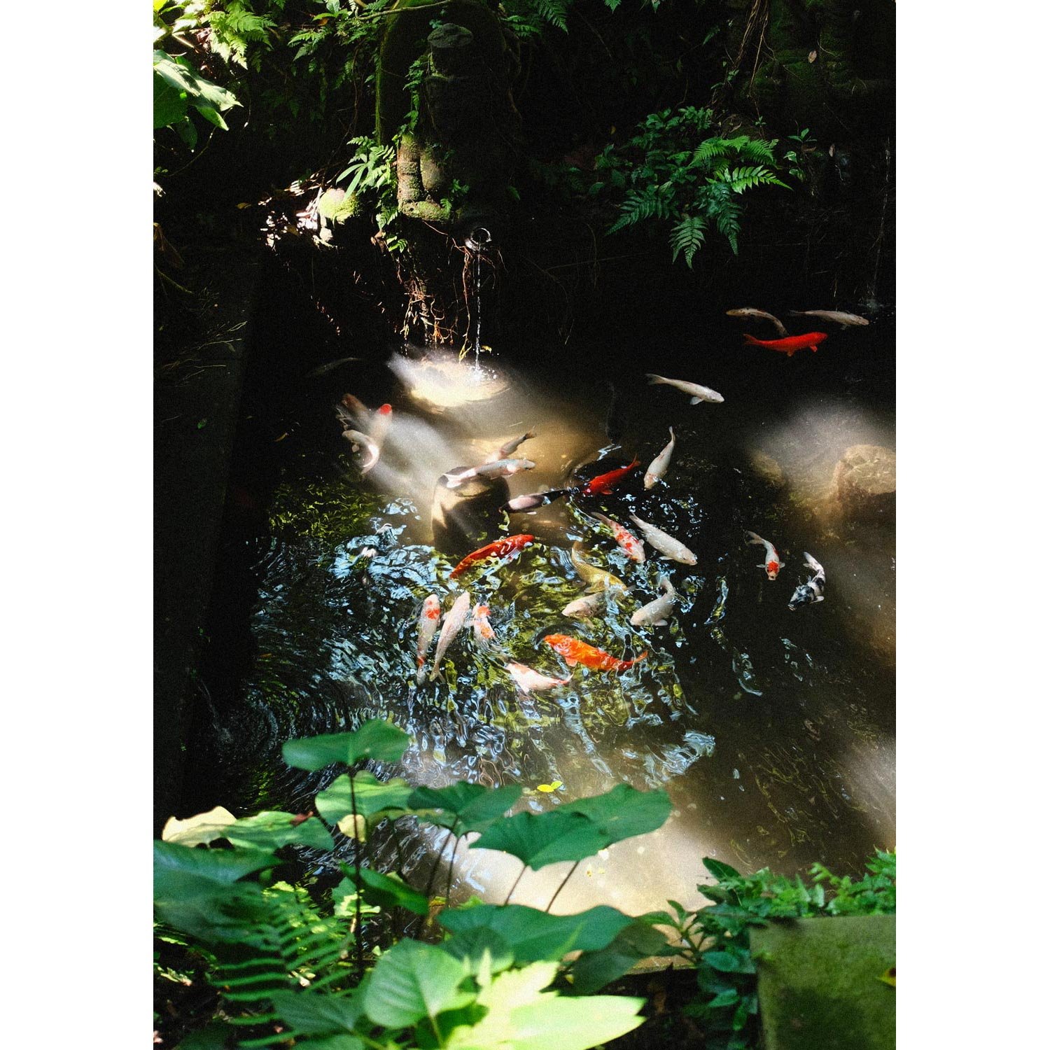 Rivière de couleurs
