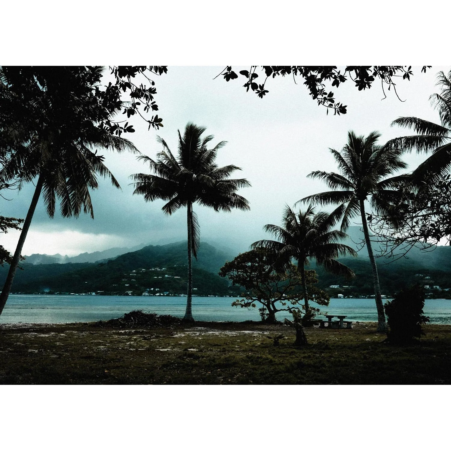 Bleu de brume