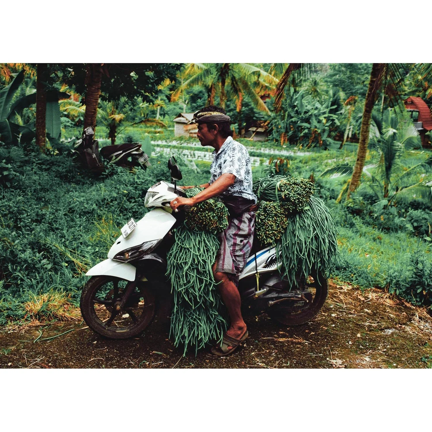elise_leveque_bali_5_carre.jpg