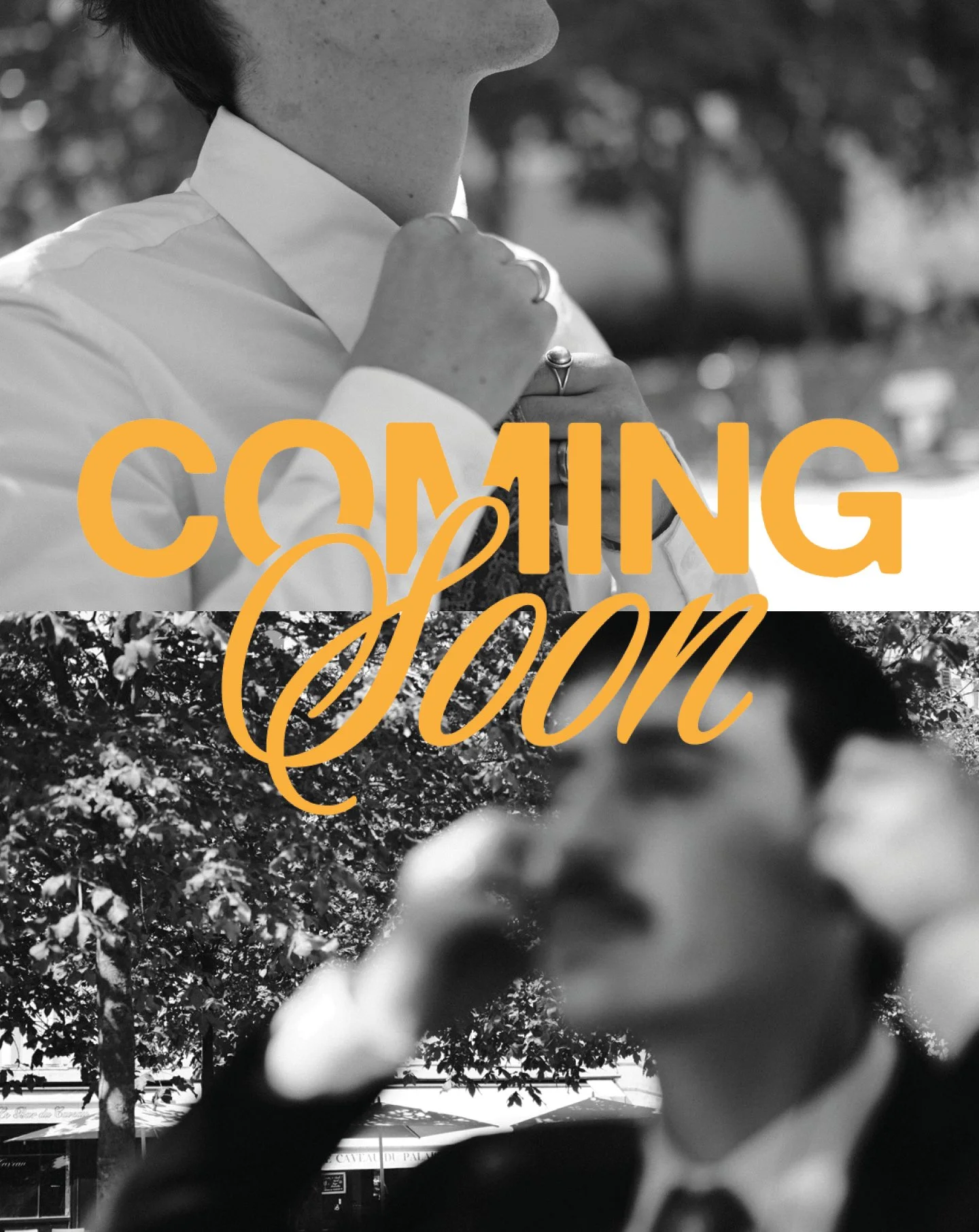 TEASER CAGIBI