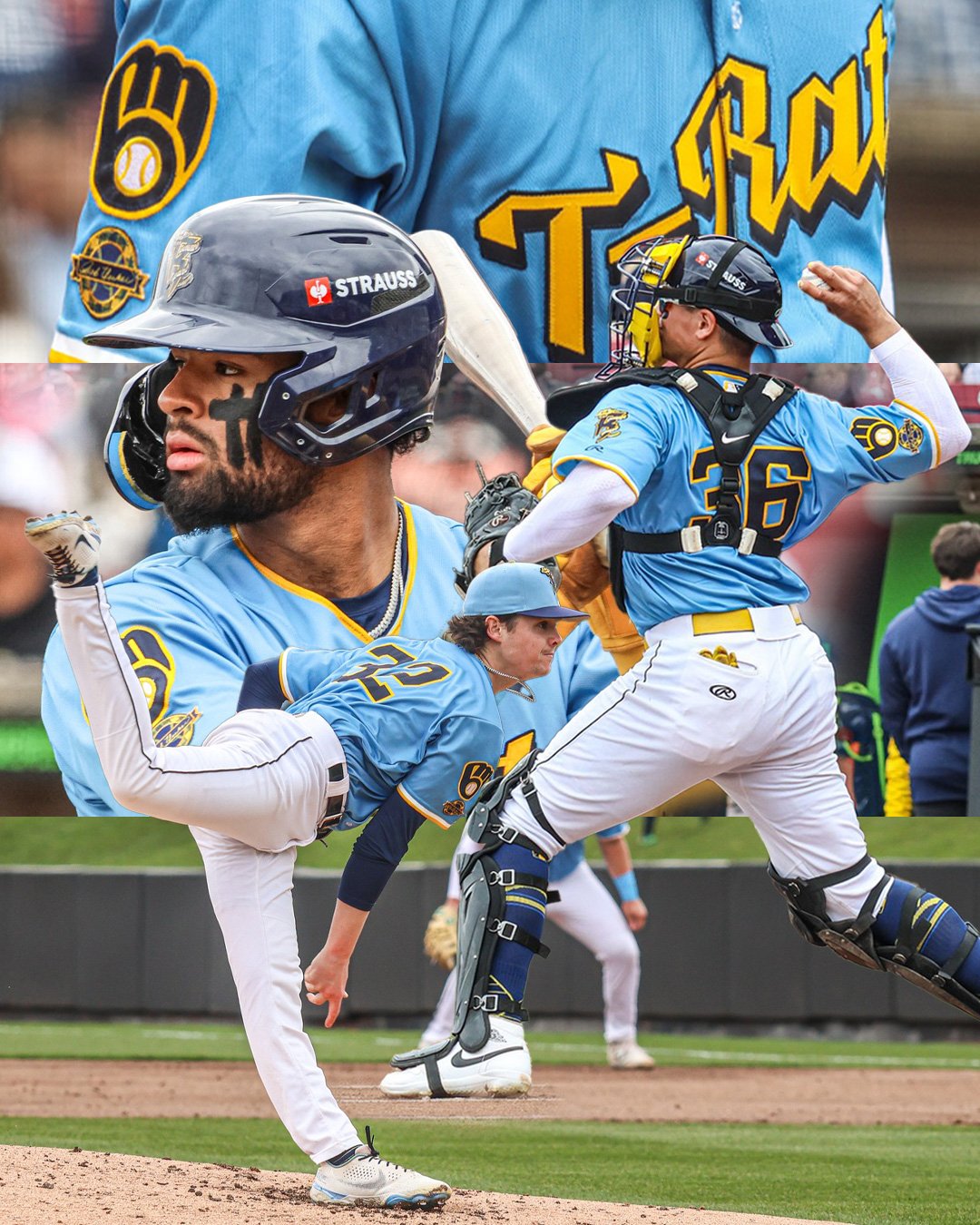 Wisconsin Timber Rattlers