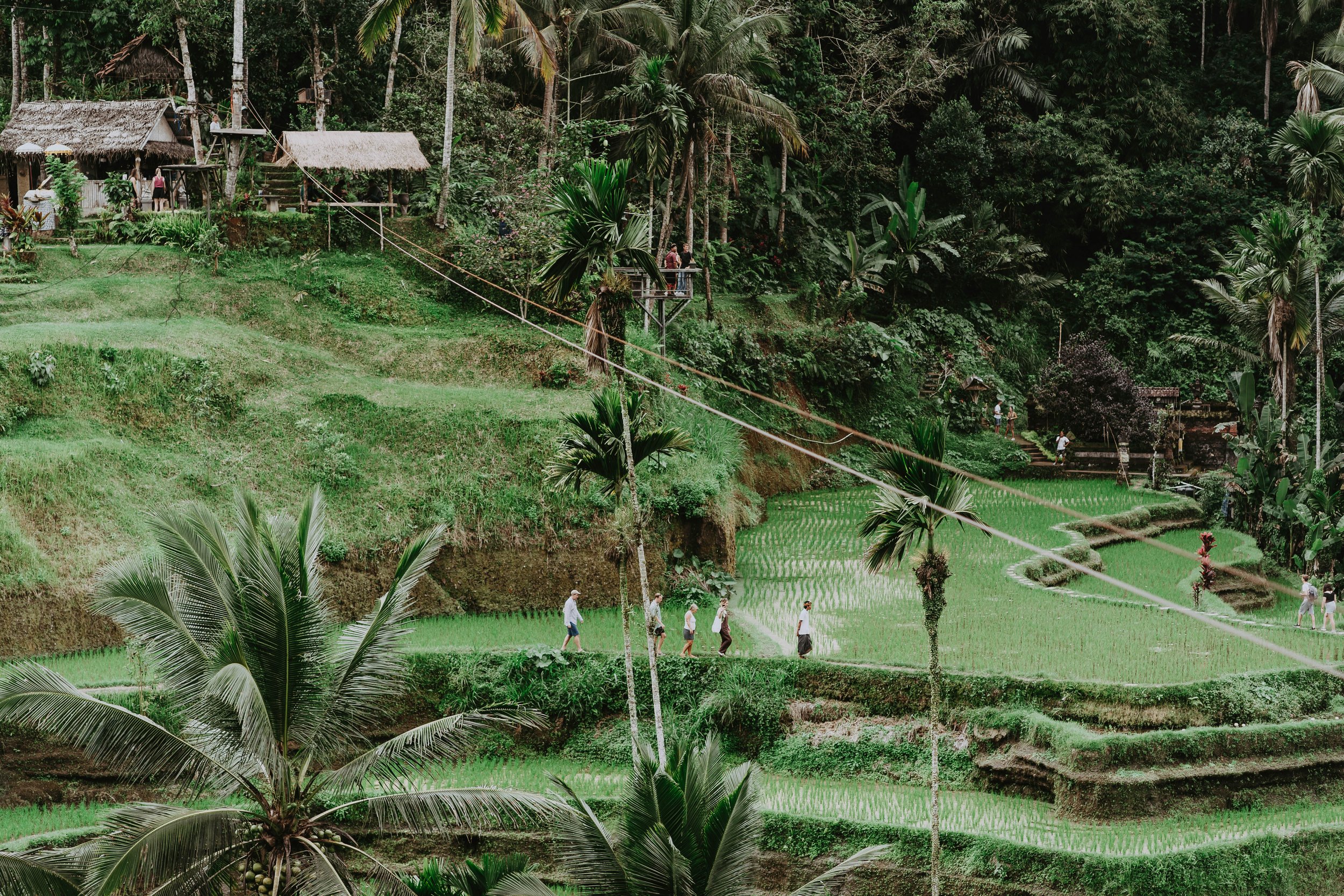 How to Spend the Best 2 Weeks in Bali