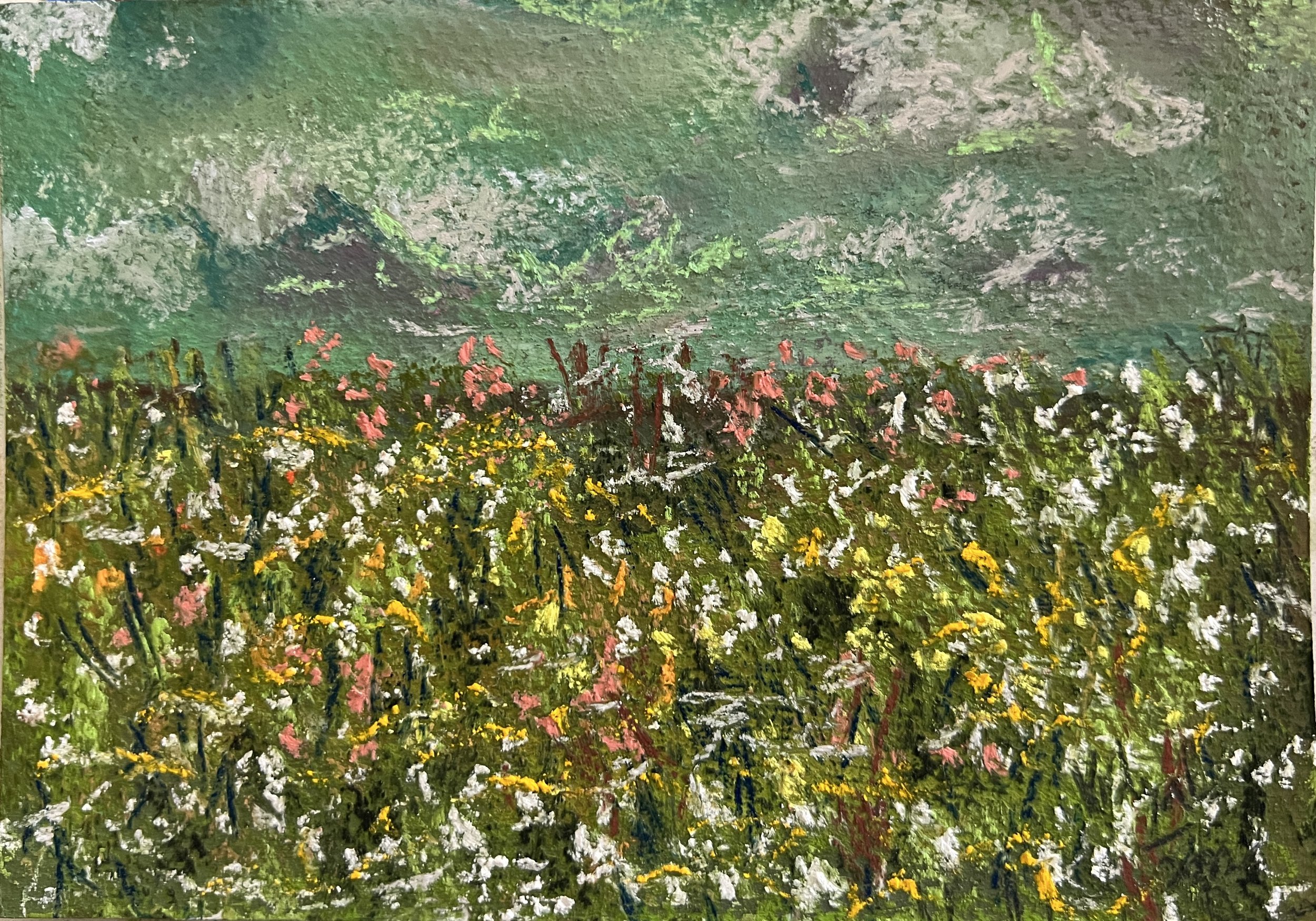 Turquoise Sky and Wildflowers