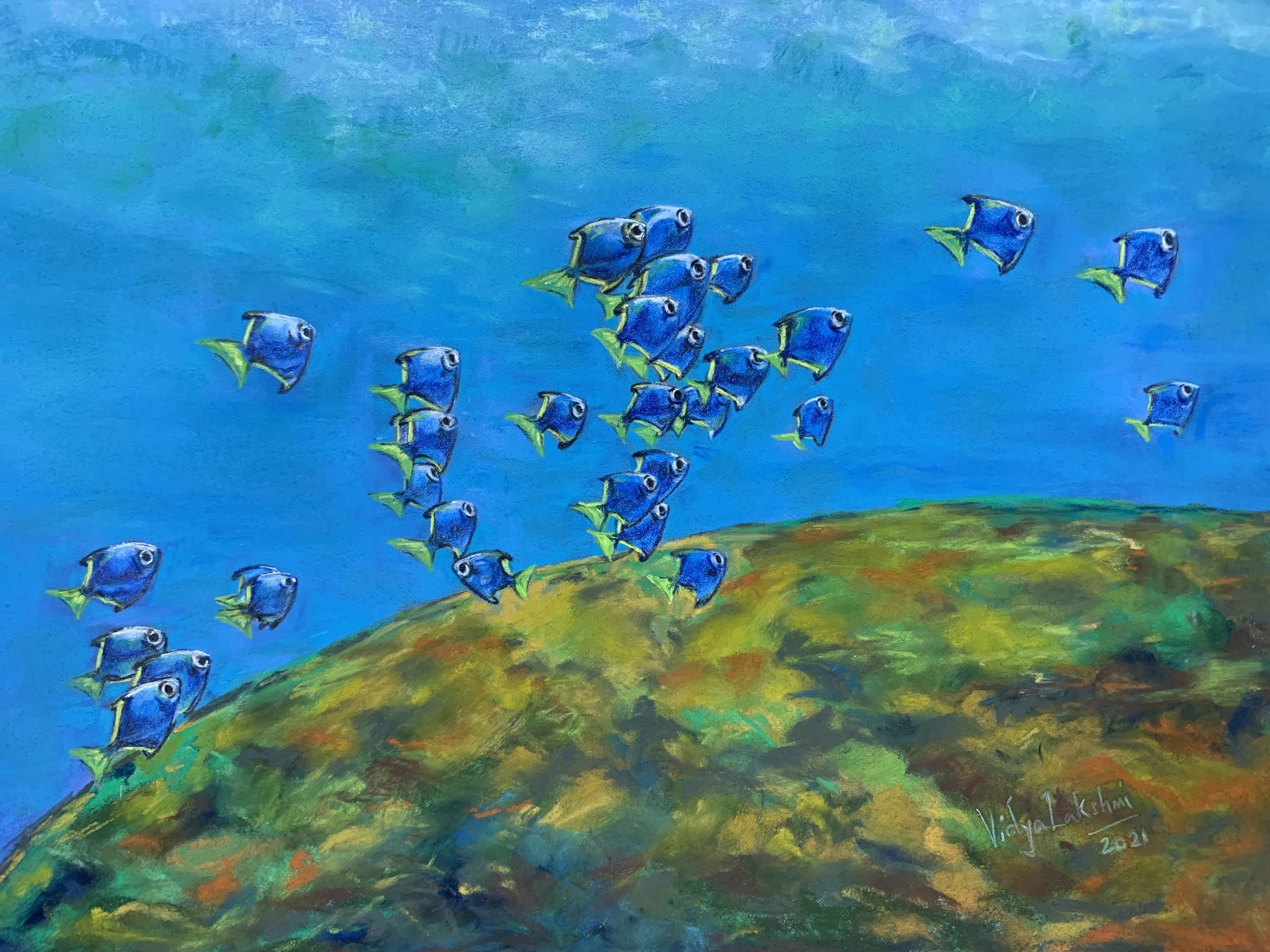 Aquatic Animals