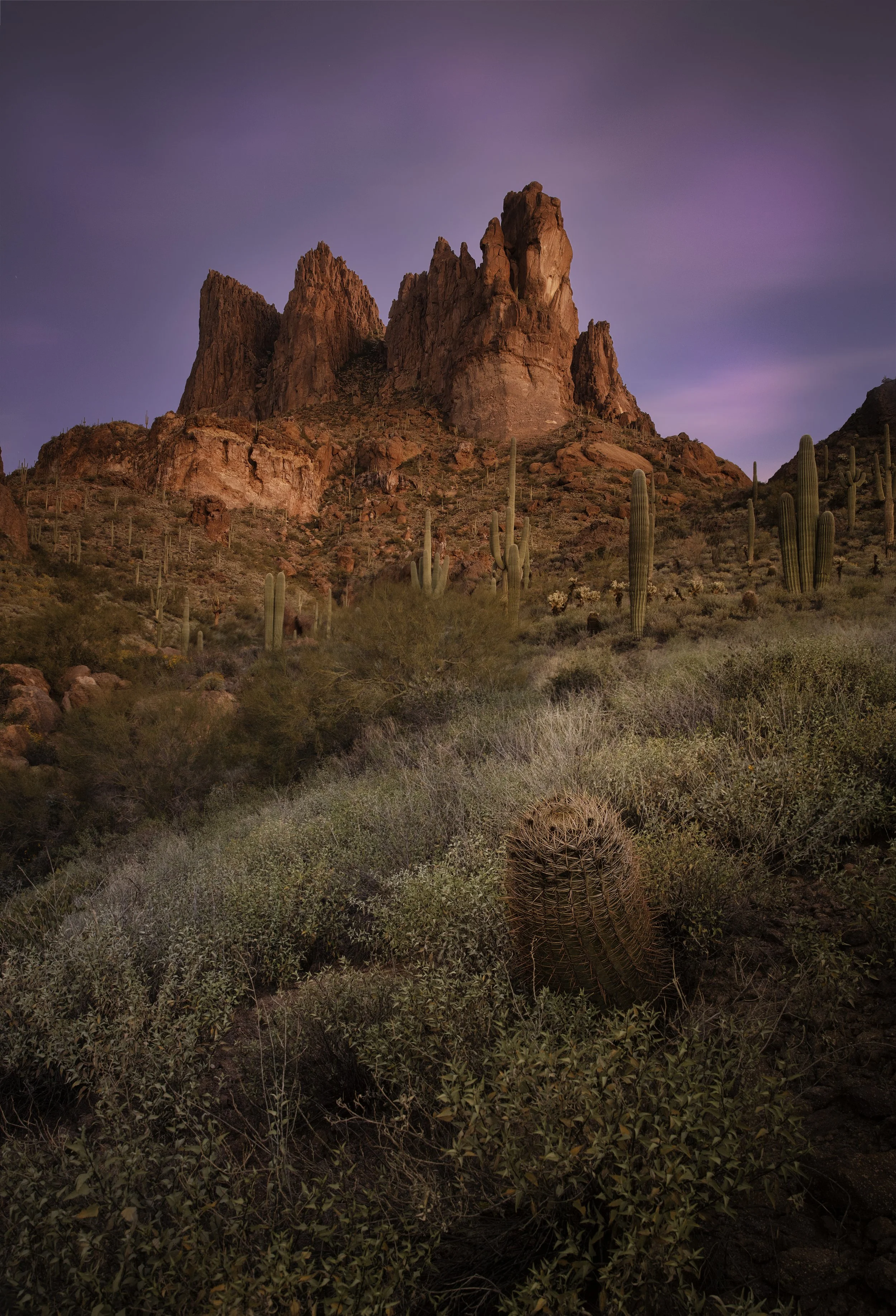 Sunset over desert landscape with reddish rock formations and tall cacti, including a barrel cactus in the foreground.