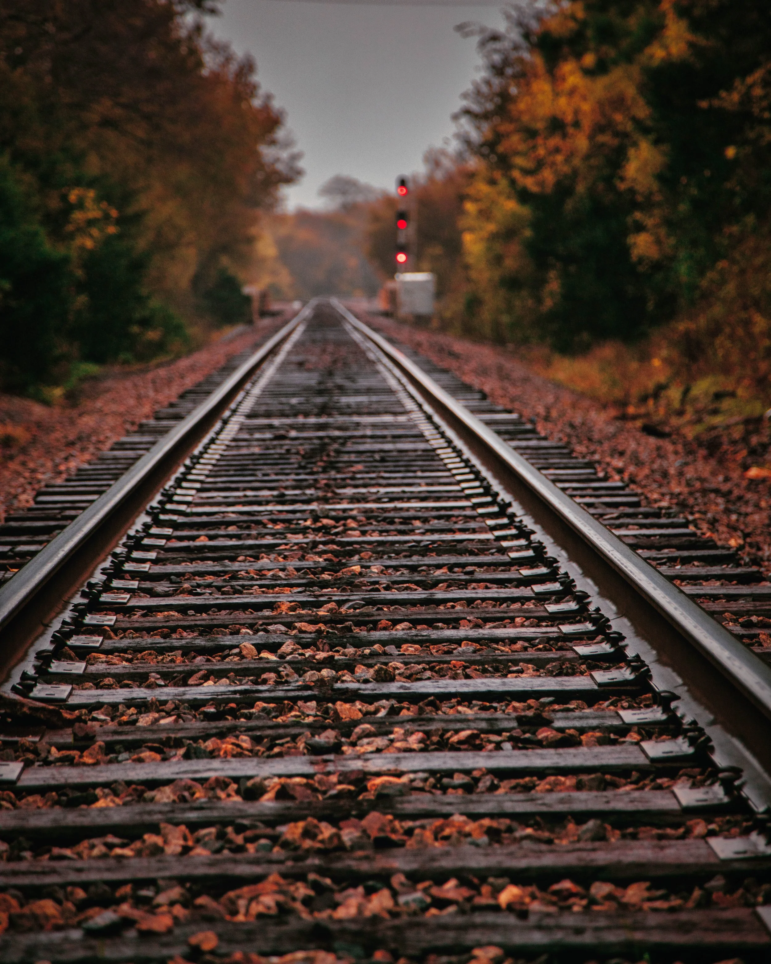 2C7A0028-Edit.jpg