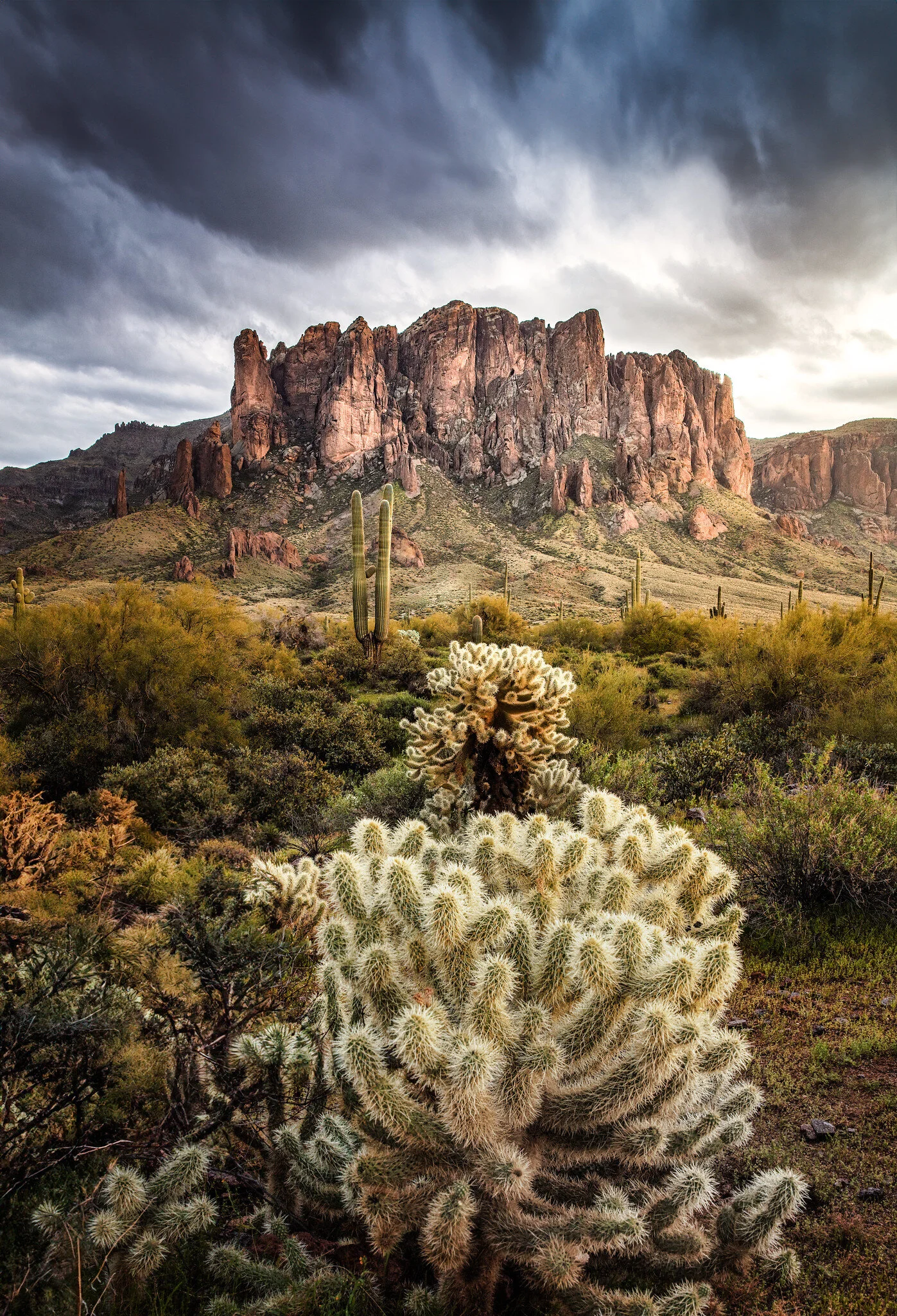 Desert landscape with cacti, rugged mountains, and dramatic clouds.