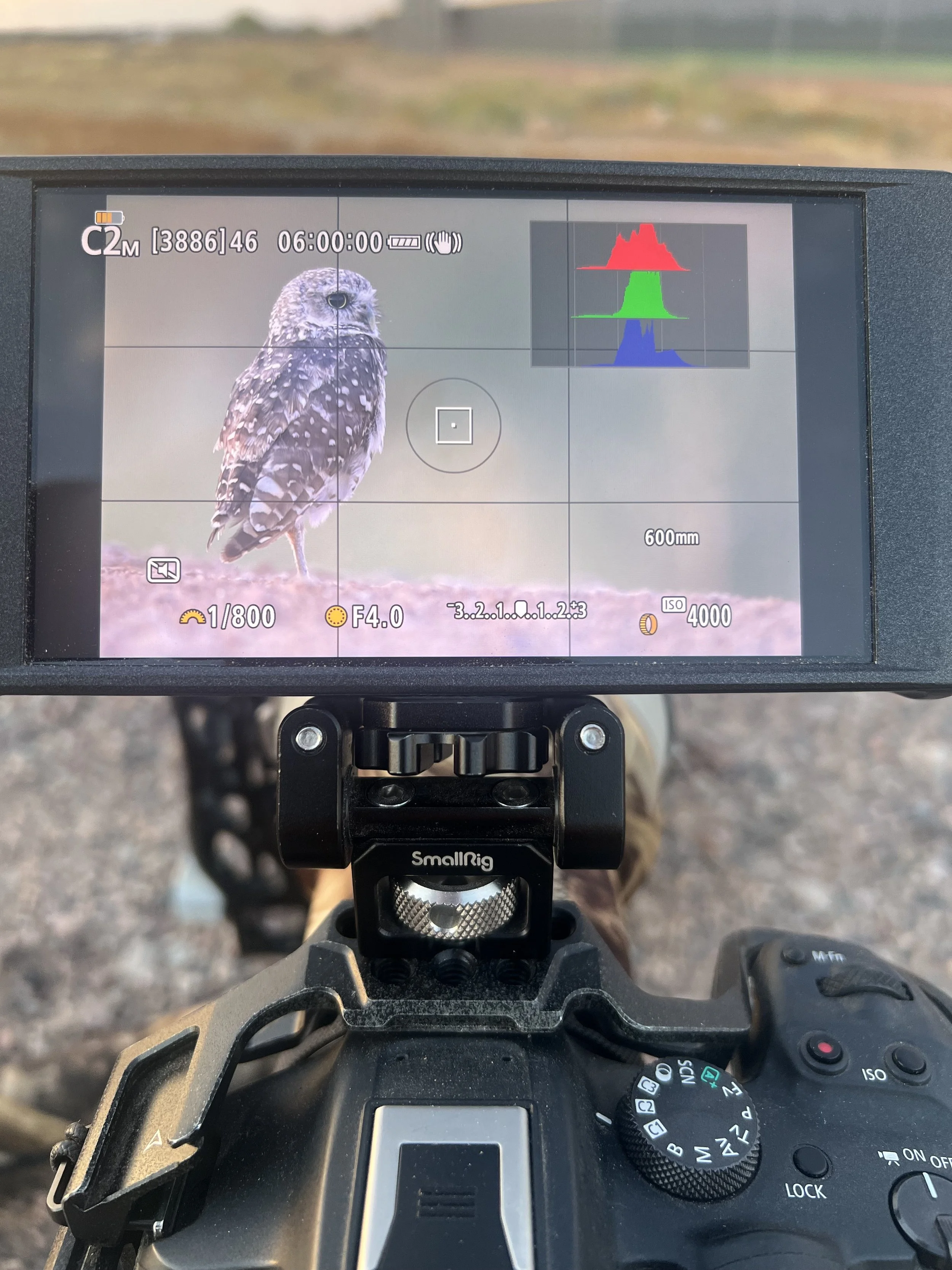 Enhancing My Photography with the PortKeys PT-6 External Monitor: A Review