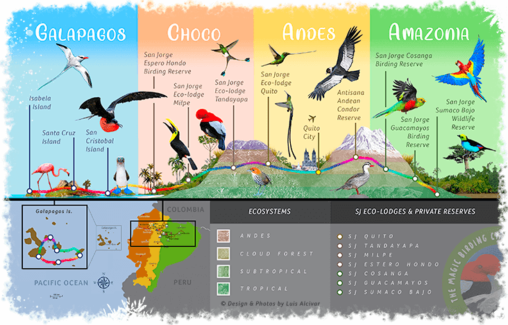 Countdown to Ecuador