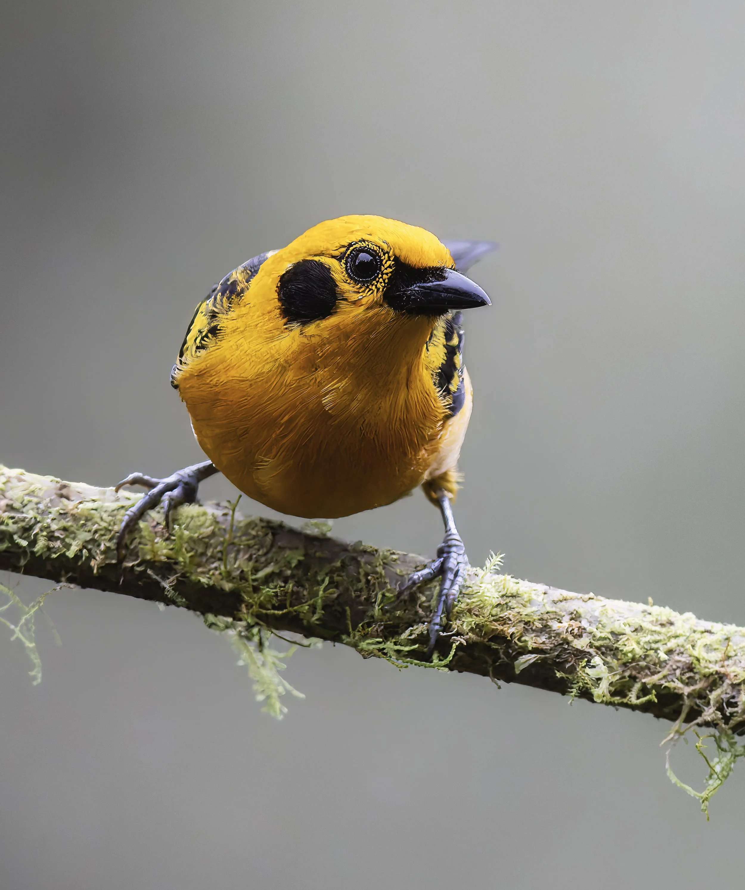 Ethics and Self-Reflection in the Age of AI: Understanding the "Why" Behind the Lens